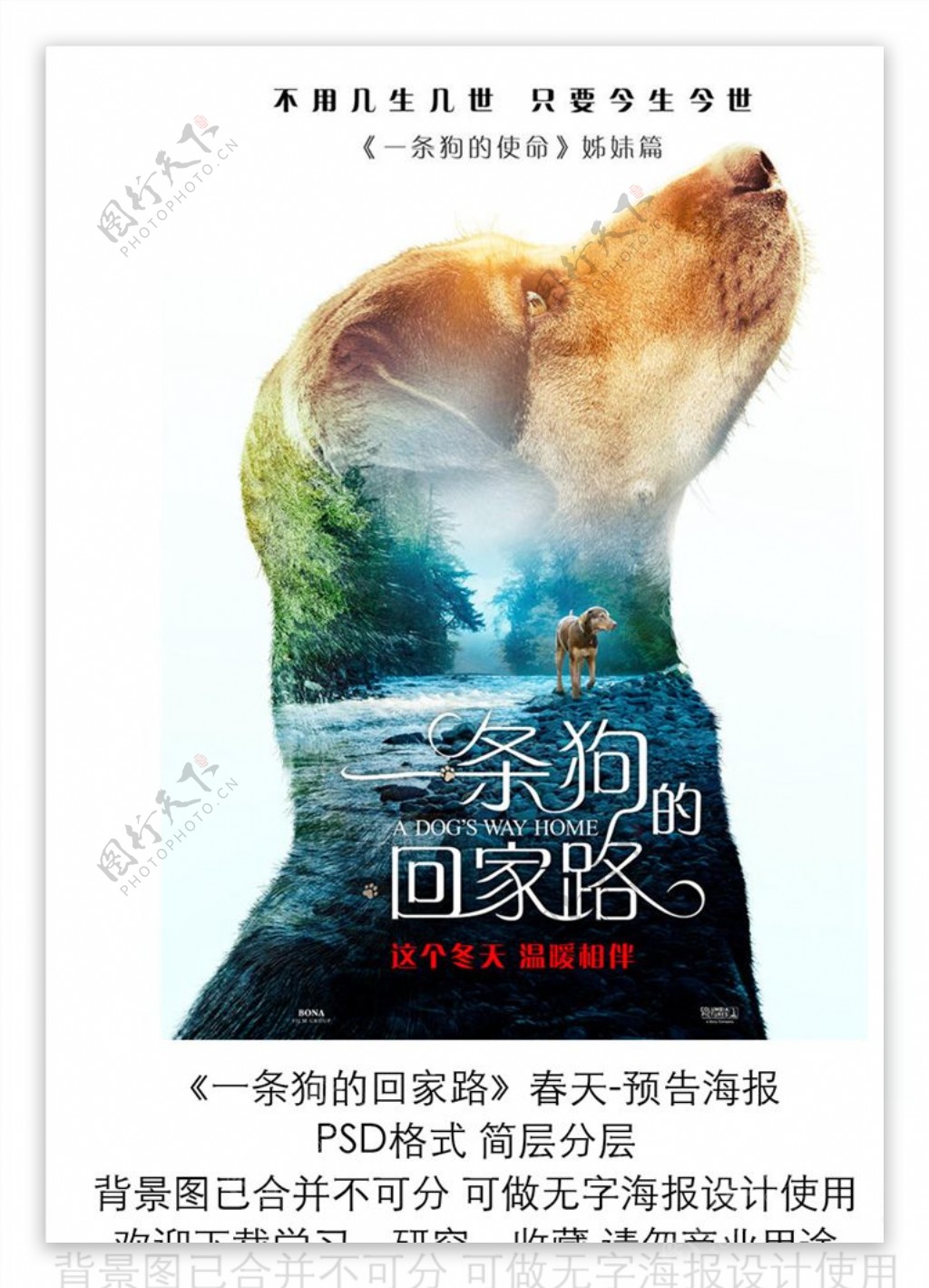 电影一条狗的回家路春季预告海报