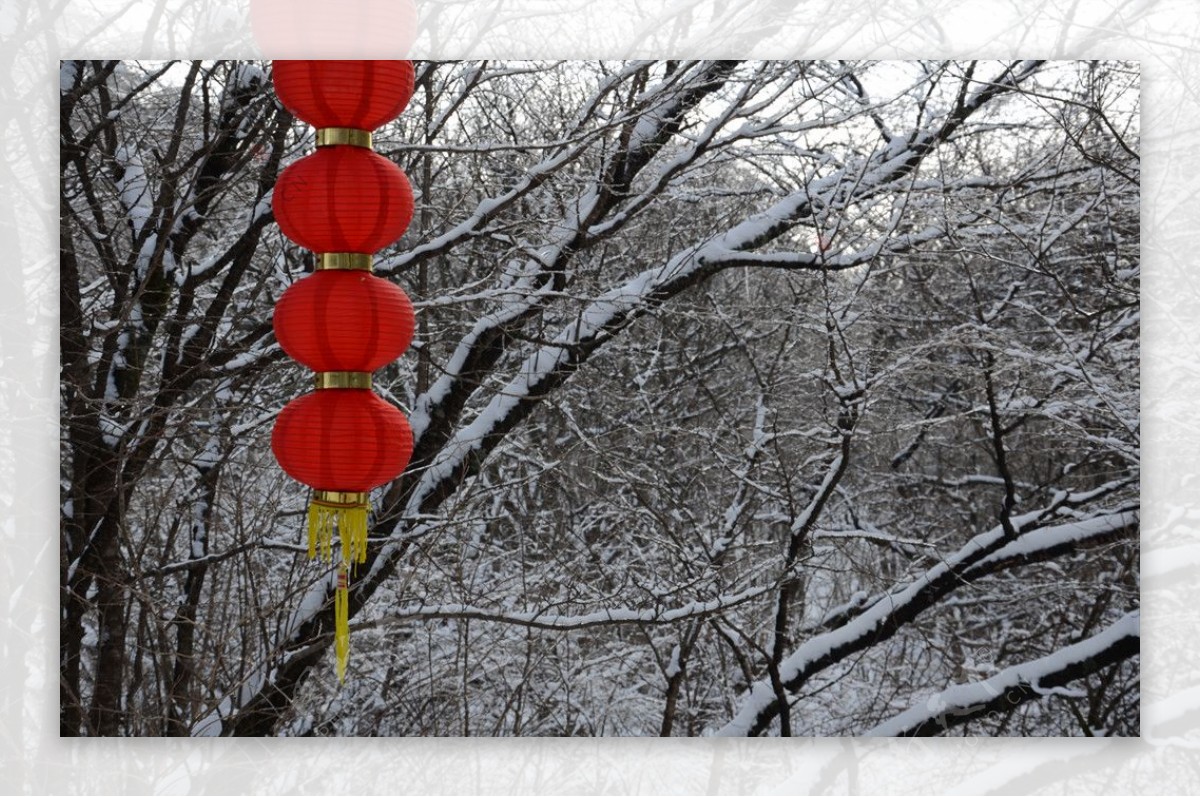 雪天红灯笼