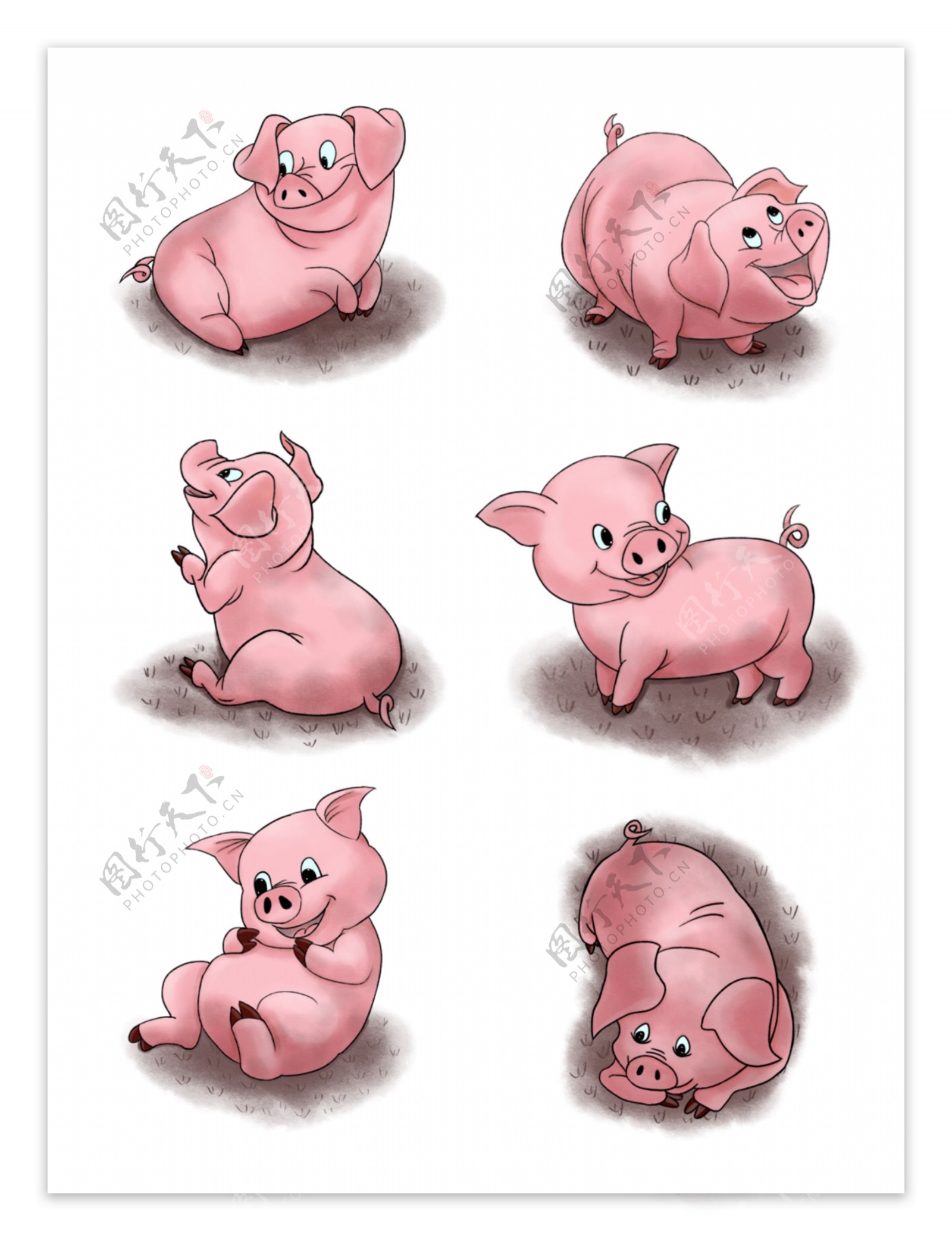 手绘猪年简约小猪形象套图