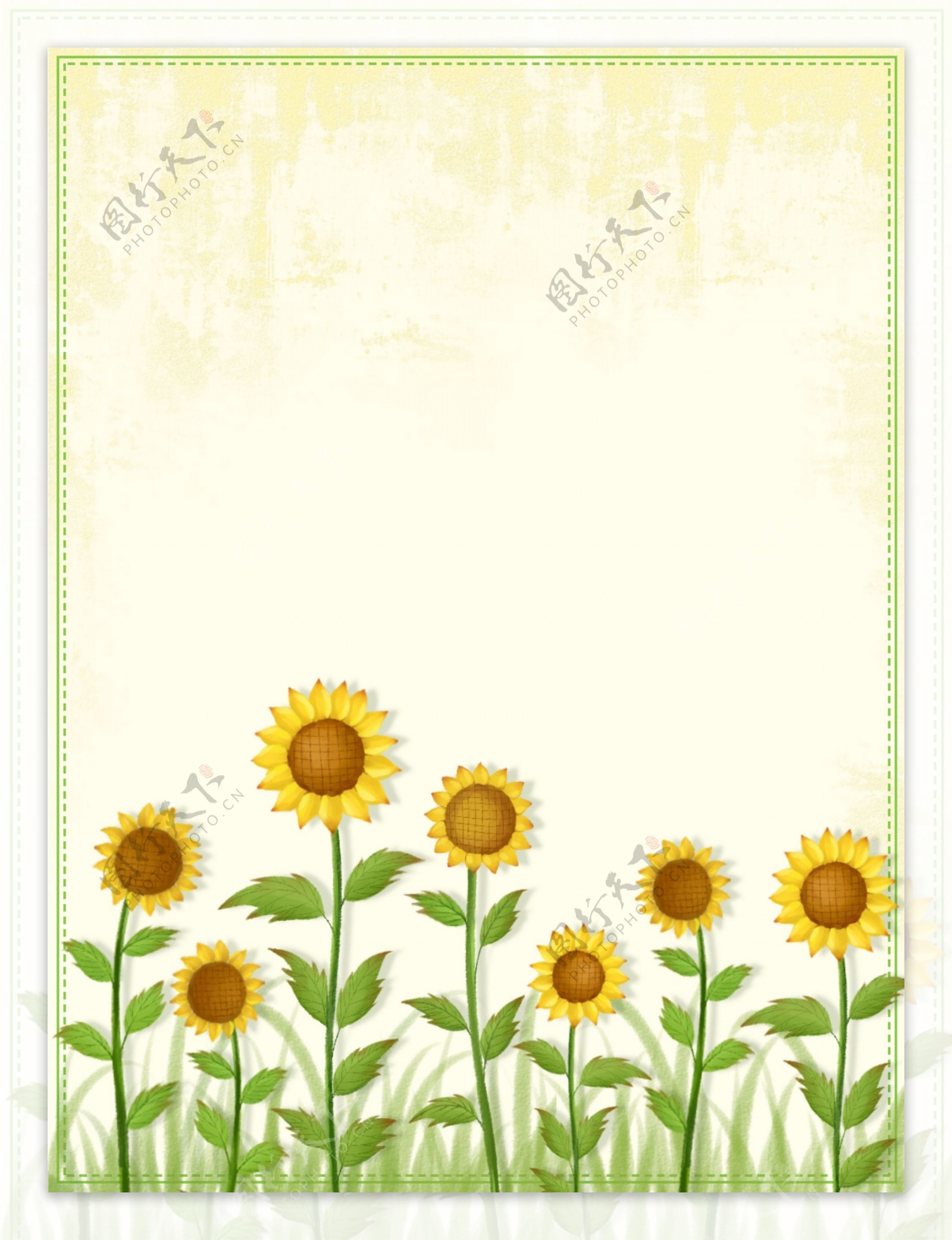 纯手绘原创向日葵植物花卉水彩边框背景