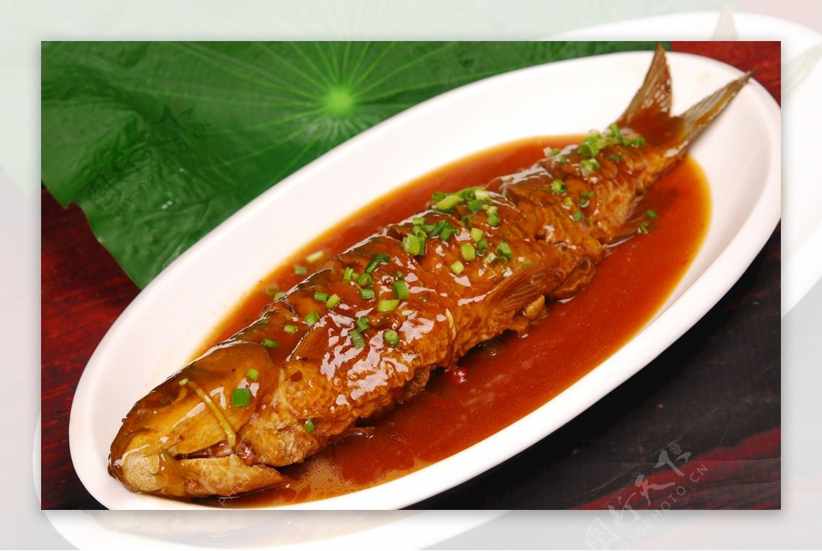 美食炖黄河鲤鱼