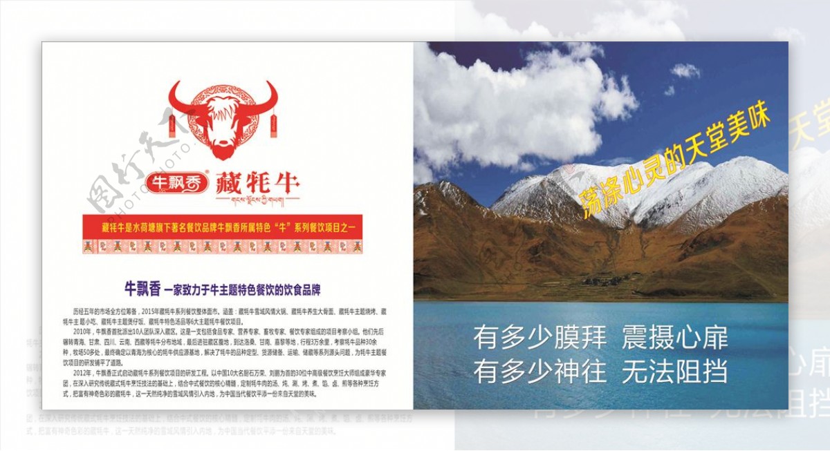 藏牦牛海报