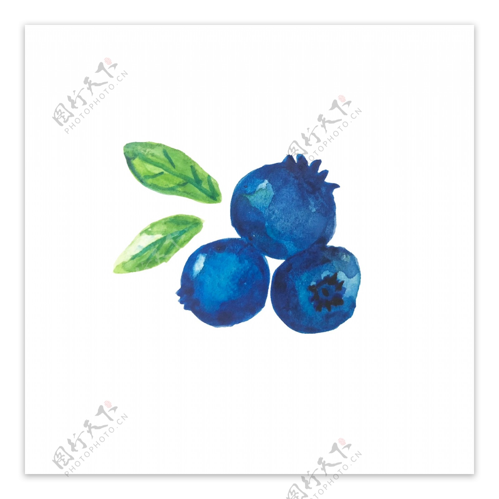 小清新手绘水彩蓝莓可商用