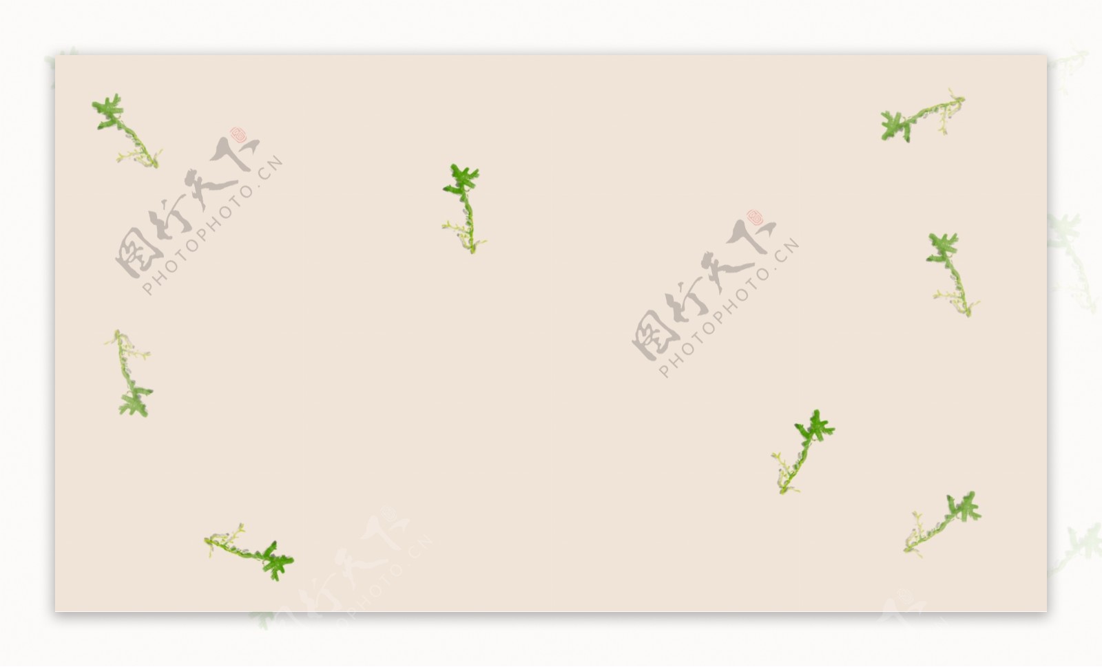 清新春季绿叶树苗背景设计