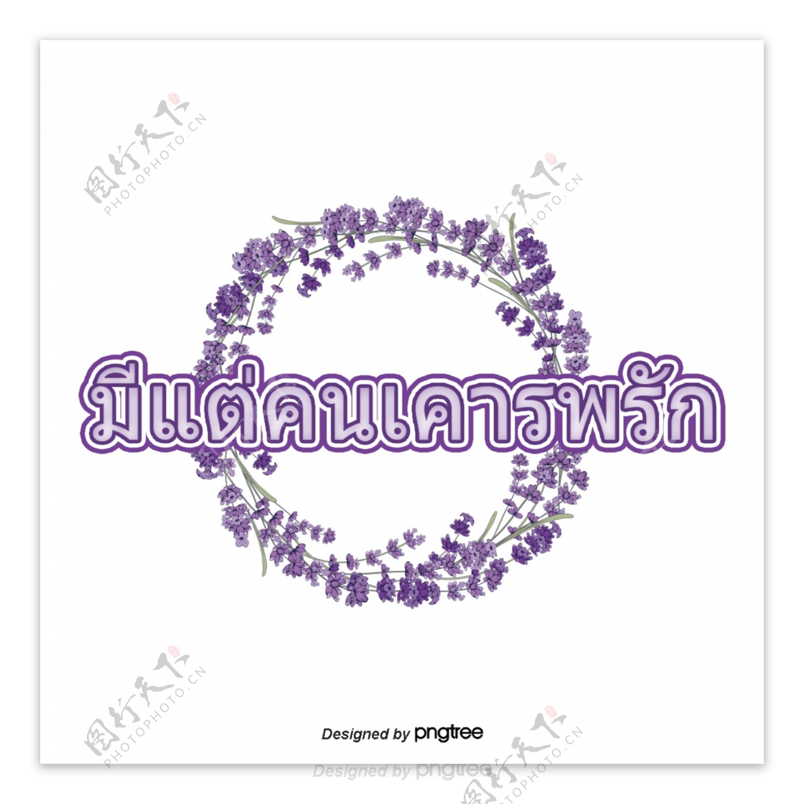 泰国字母的字体是一个圆尊敬的紫色紫色的花
