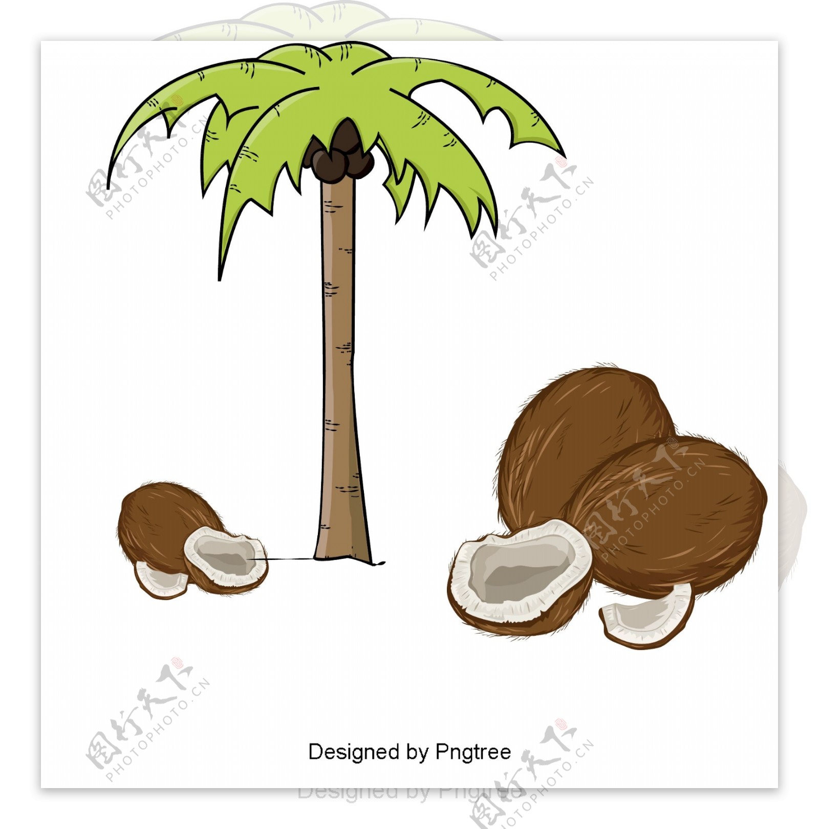 简单卡通椰子装饰图案