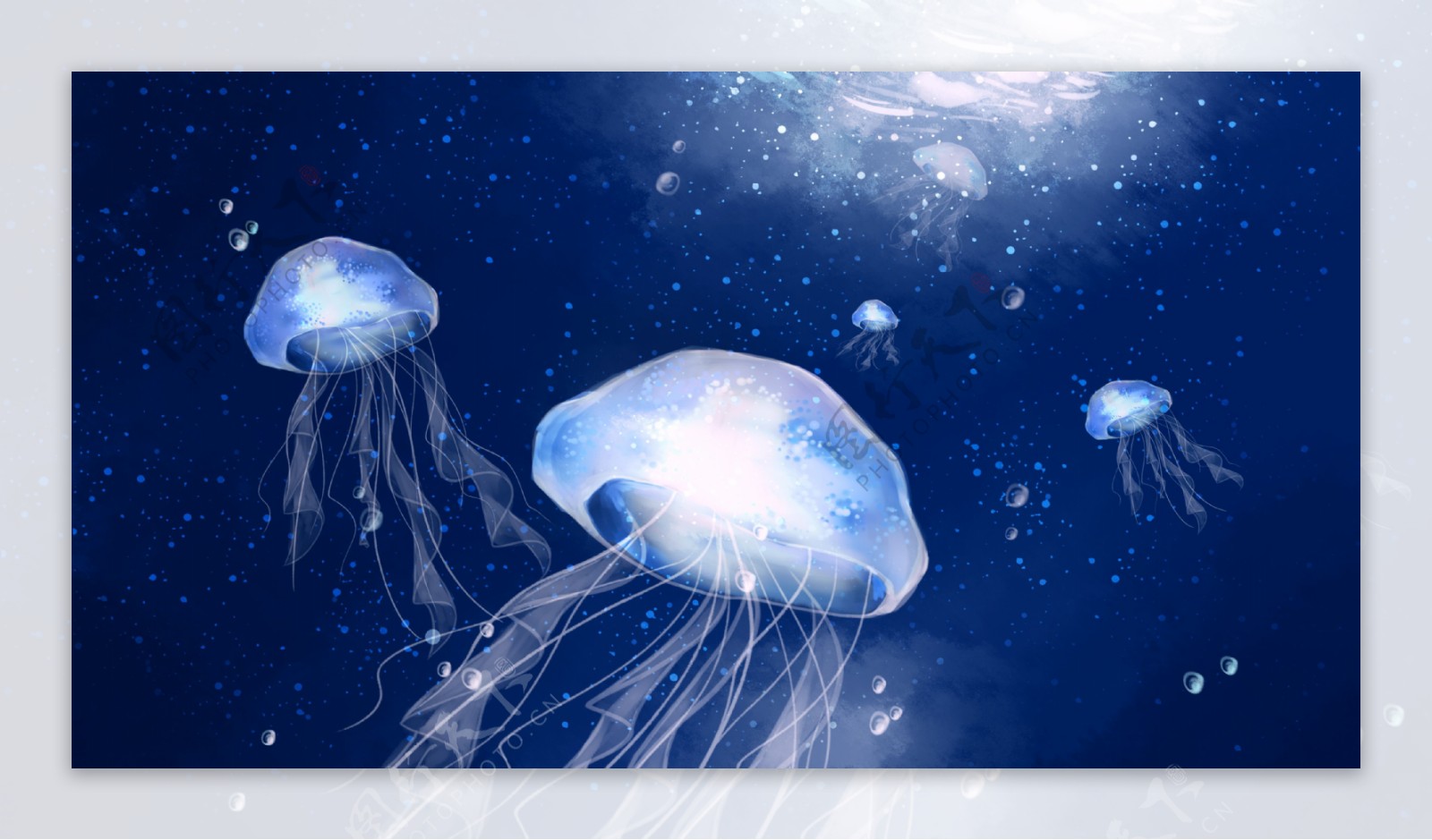 图片素材 : 水下, 海蜇, 蓝色, 刺胞动物, 海洋生物学, 海洋无脊椎动物 5184x3456 - - 114654 - 素材中国, 高清壁纸 - PxHere摄影图库