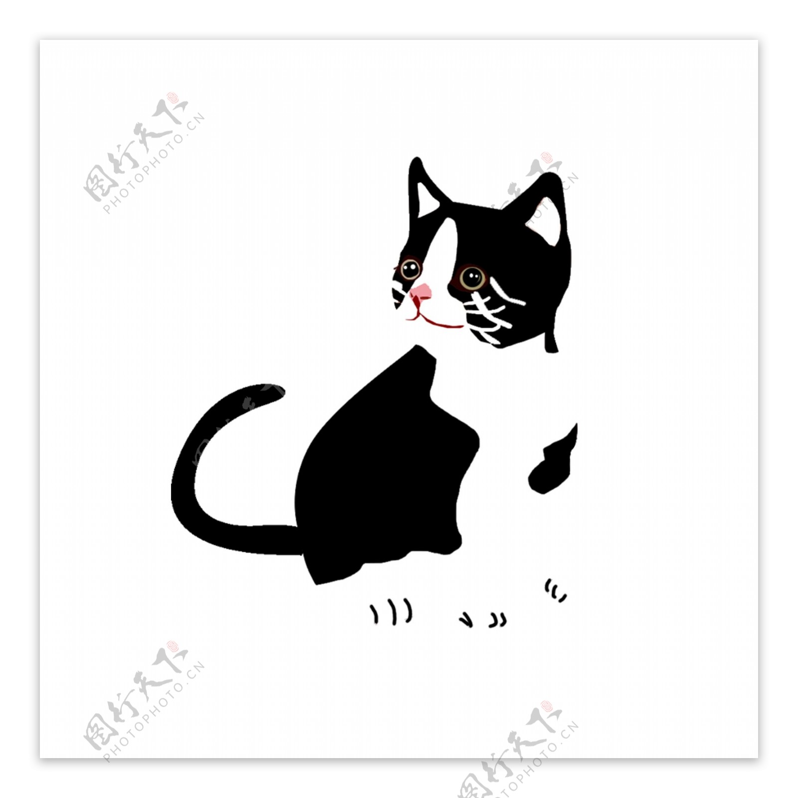 一只黑白花纹的猫设计元素