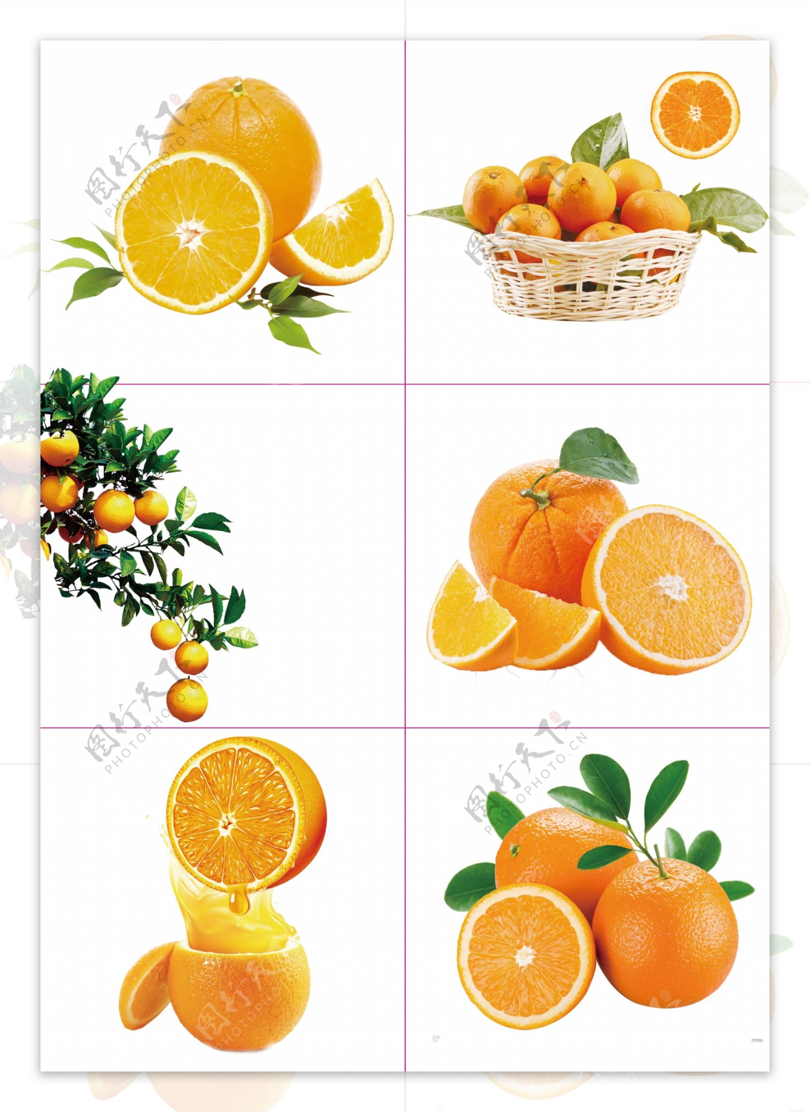 062橙子