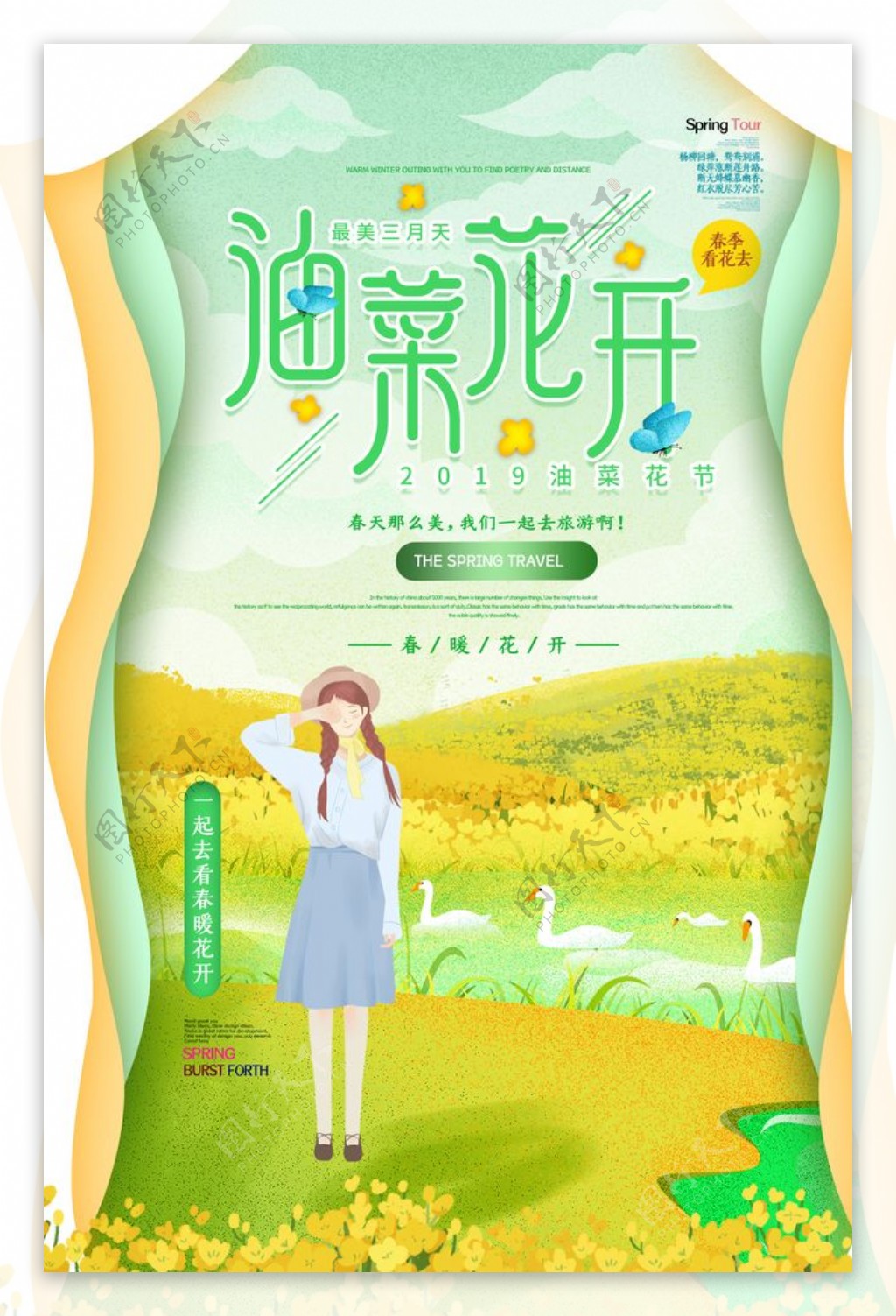 油菜花