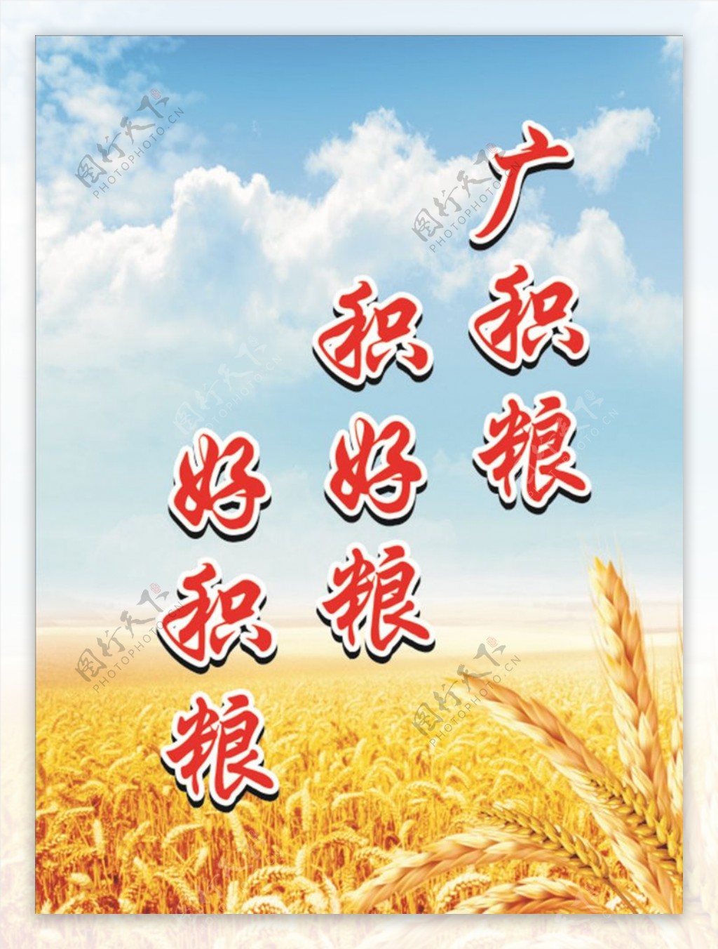 粮食海报小麦麦田