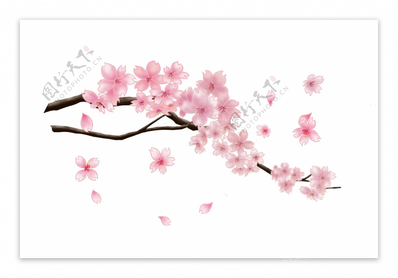 如何用水彩画樱花树 - 知乎