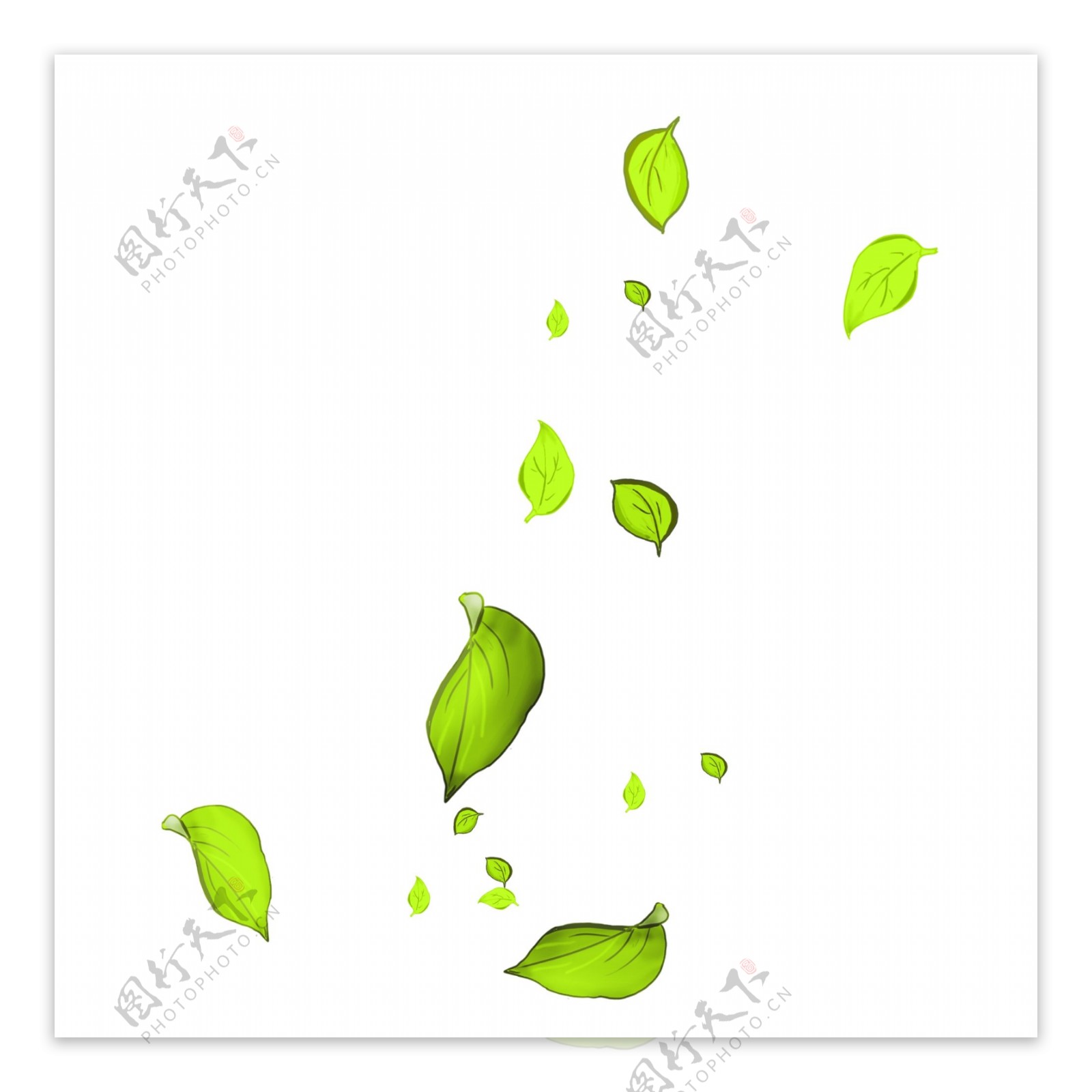 漂浮的绿色叶子插画