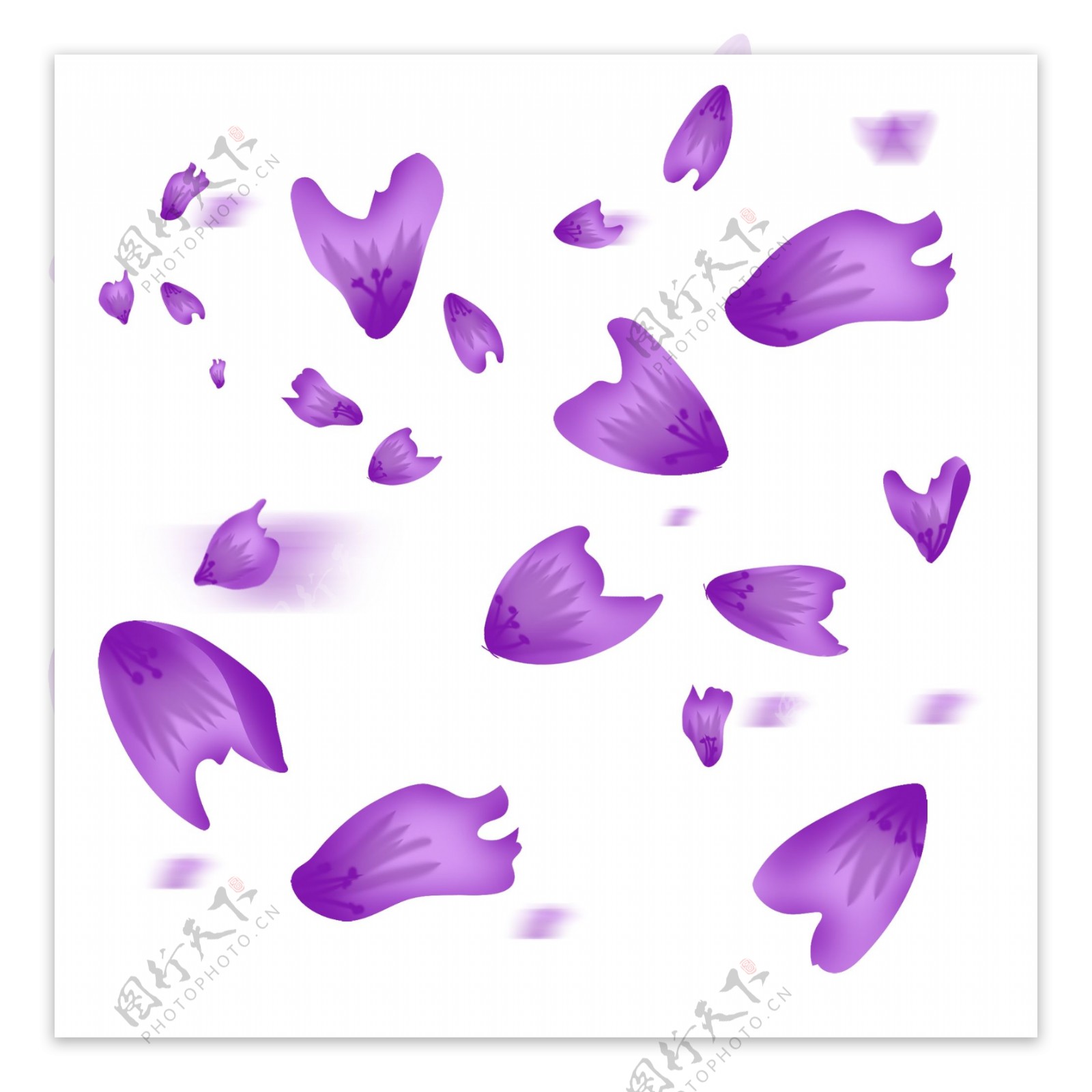 手绘漂浮的紫色花瓣