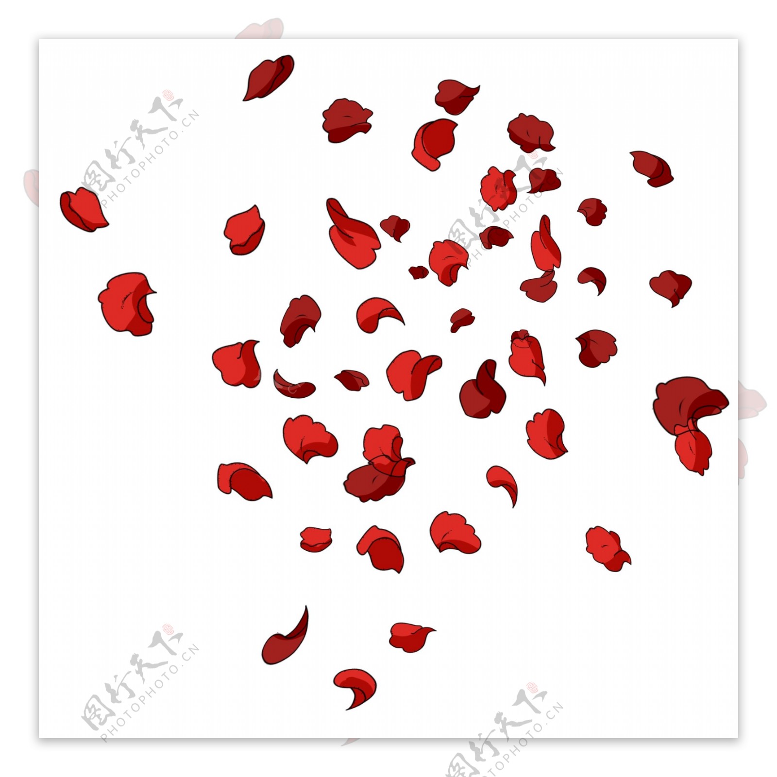 可爱浪漫的红色花瓣
