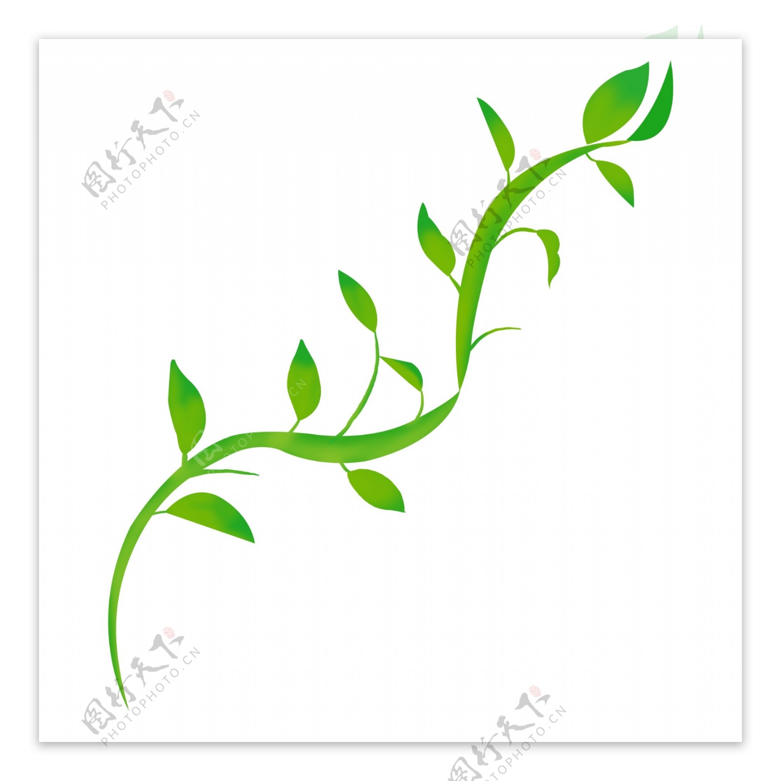 带茎植物绿叶卡通手绘素材免费下载