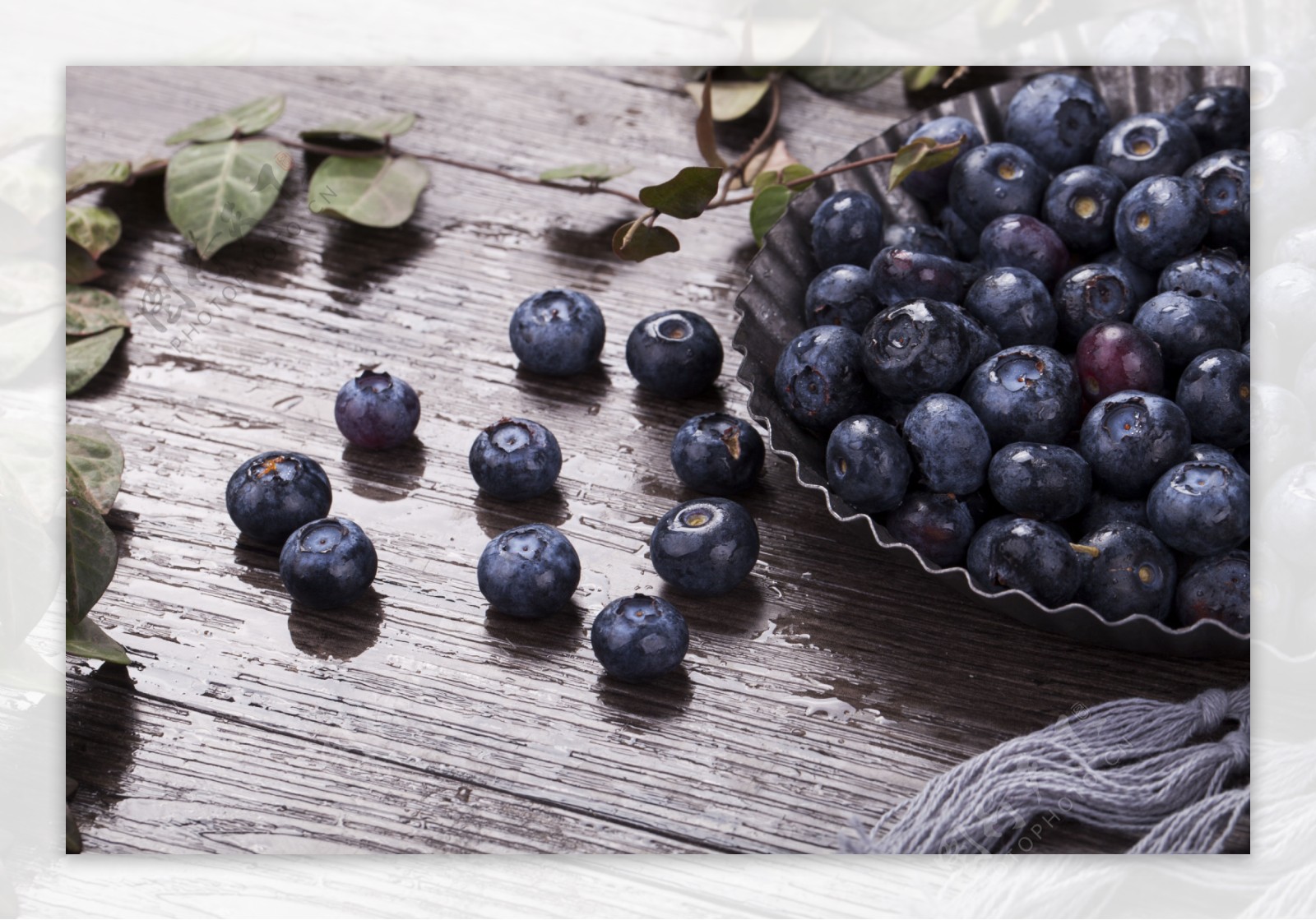 新鲜浆果蓝莓实物图摄影图3
