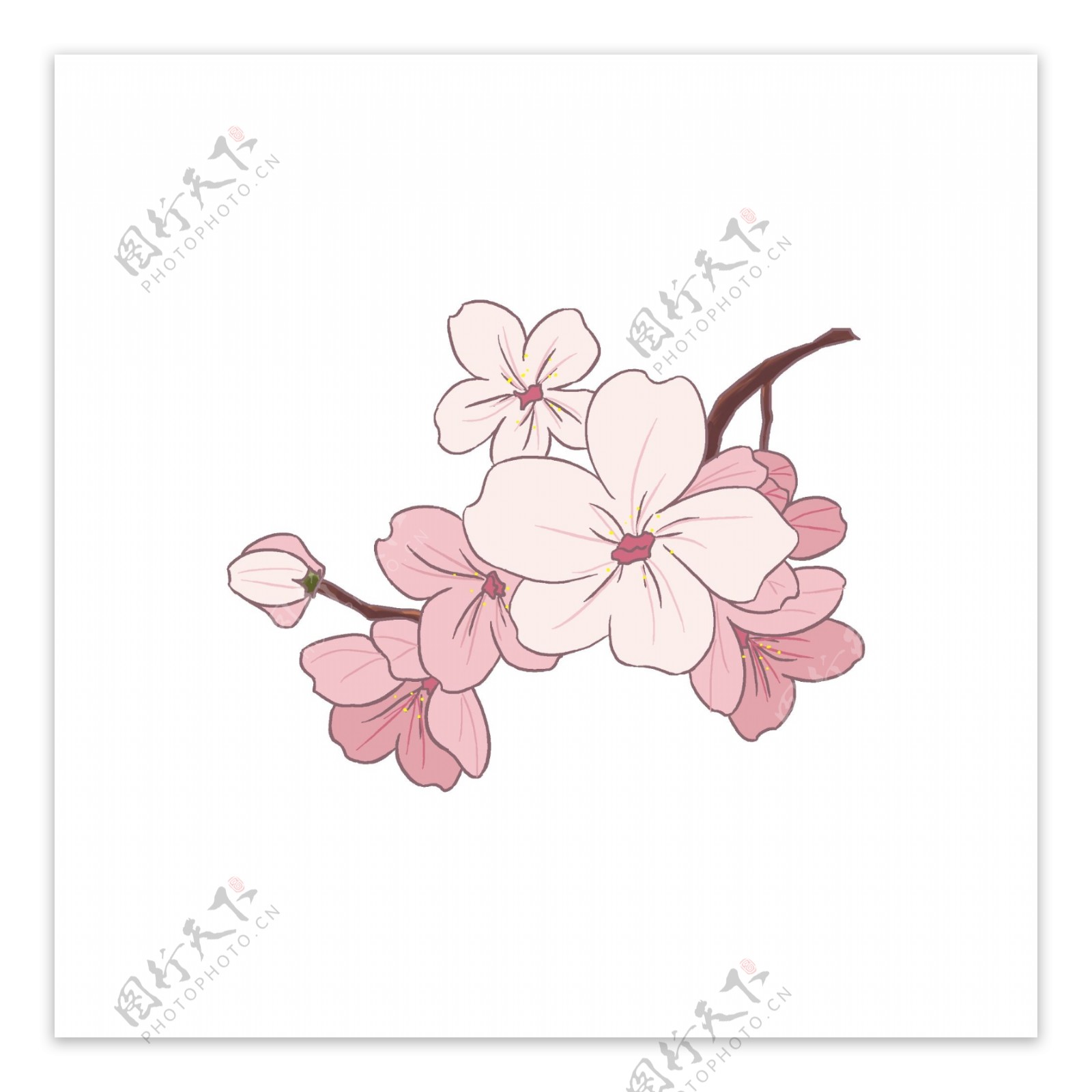 粉白色的春天樱花插画