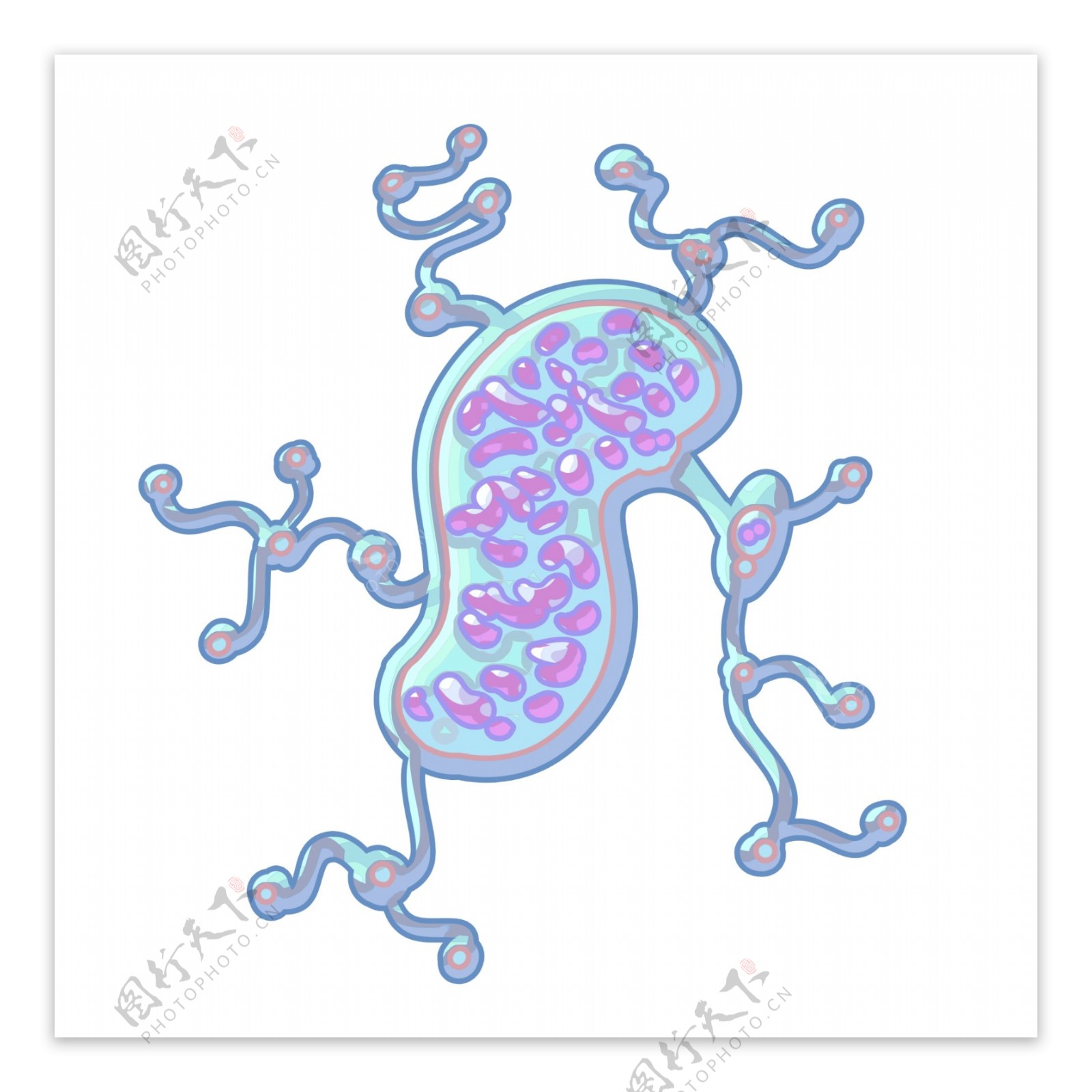 紫色的有害细菌插画