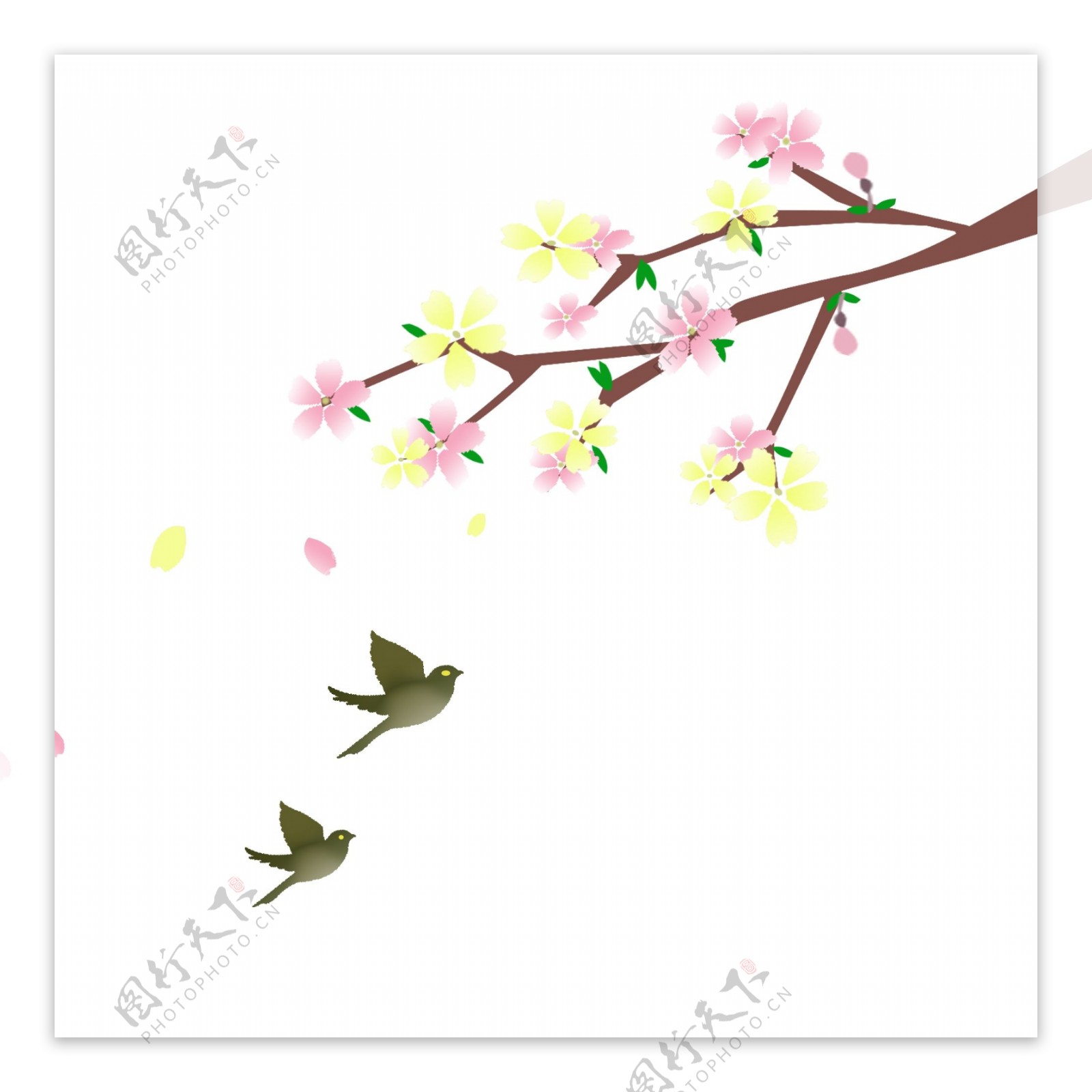 春季樱花与飞鸟免抠