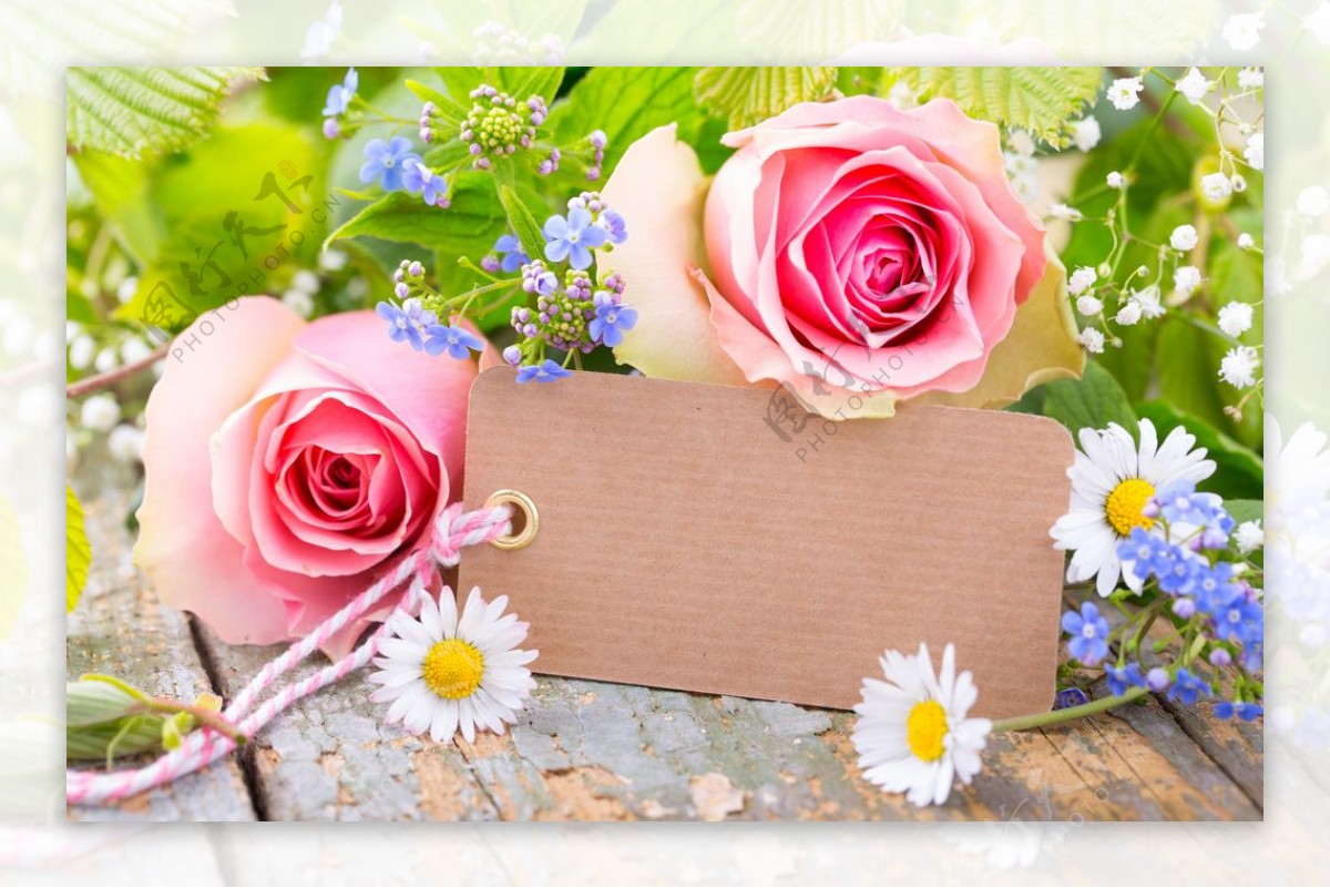 雏菊玫瑰花与纸质吊牌