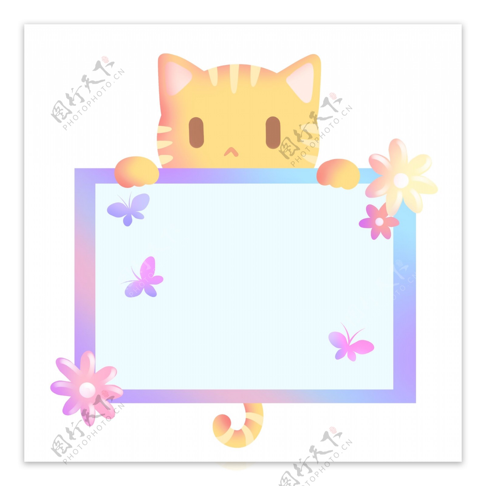 可爱的小花猫装饰边框