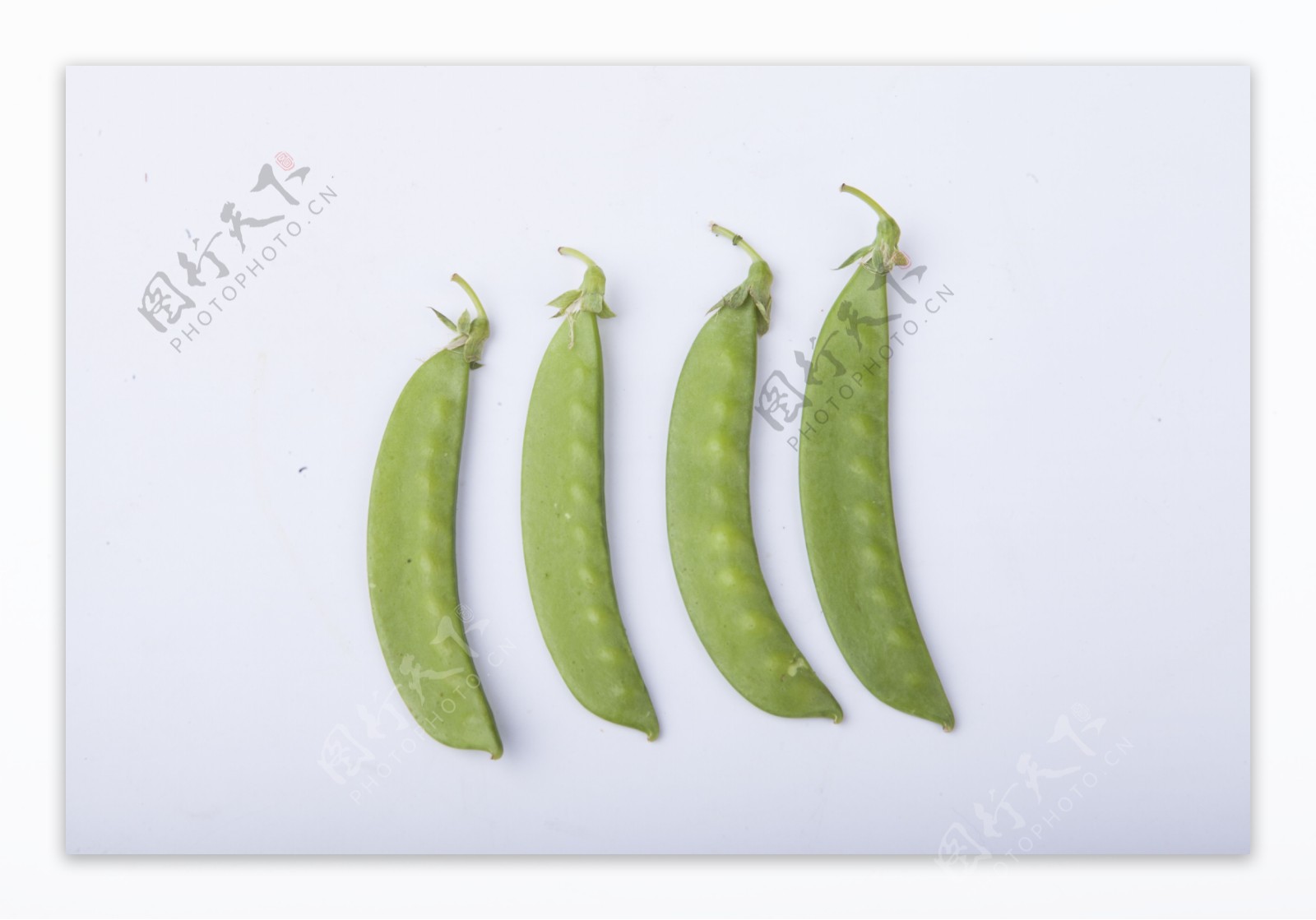 实物图摄影图营养丰富的扁豆