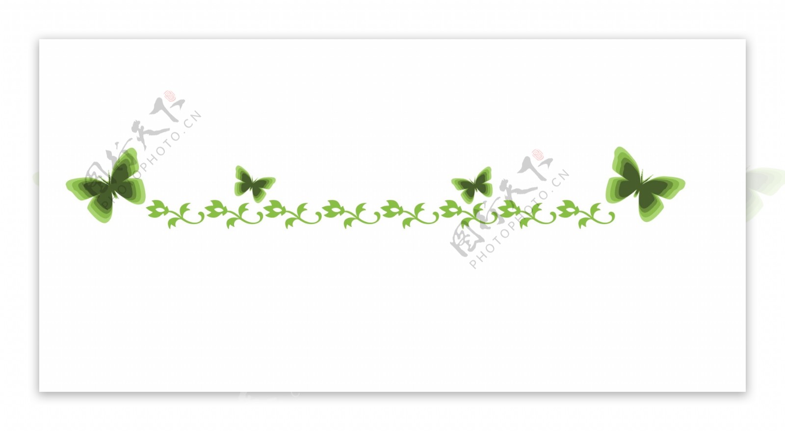 蝴蝶植物分割线插画