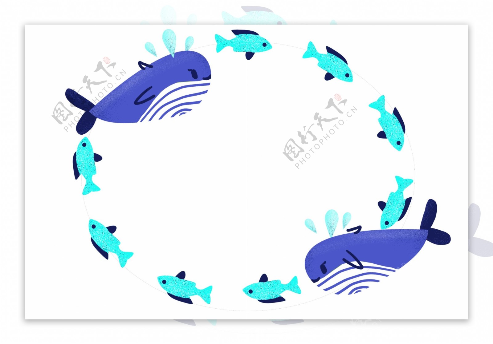 鲸鱼椭圆边框插画