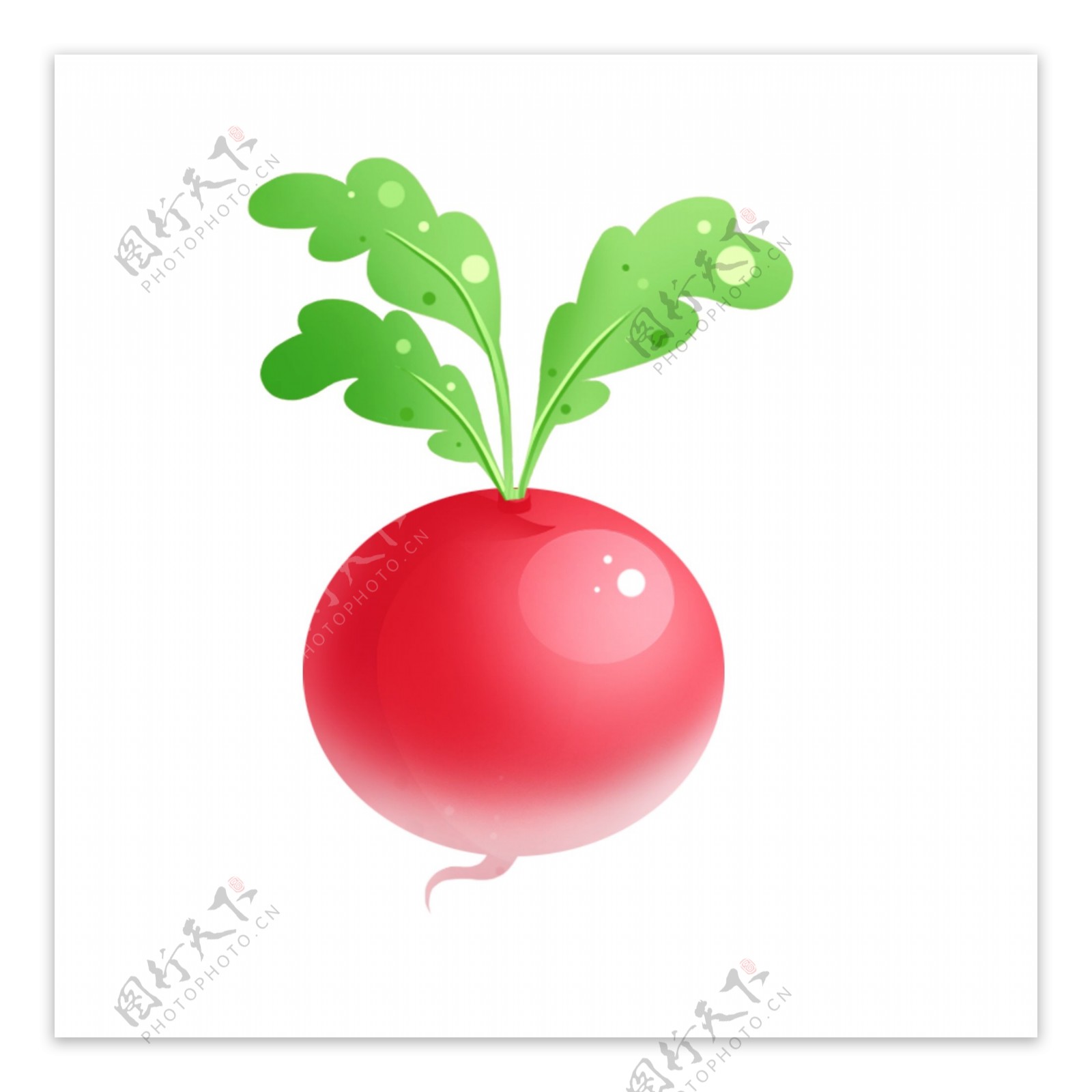 卡通手绘萝卜蔬菜