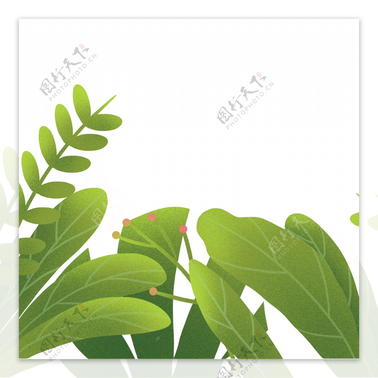 绿色植物装饰图案