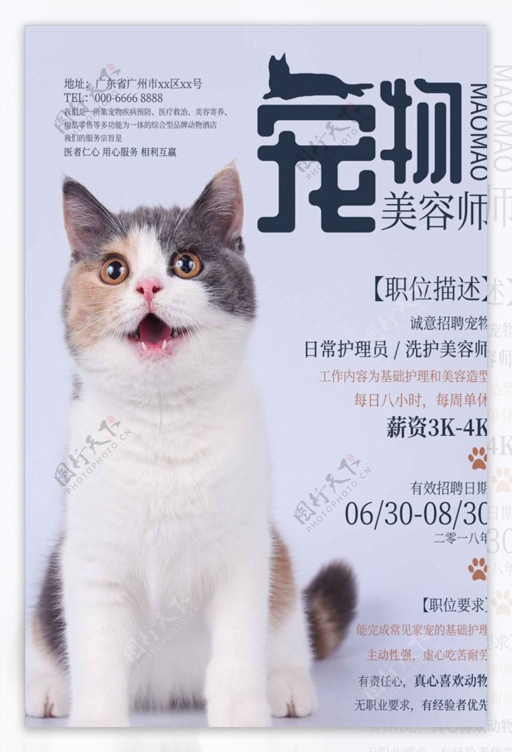 可爱猫咪宠物美容师招聘海报