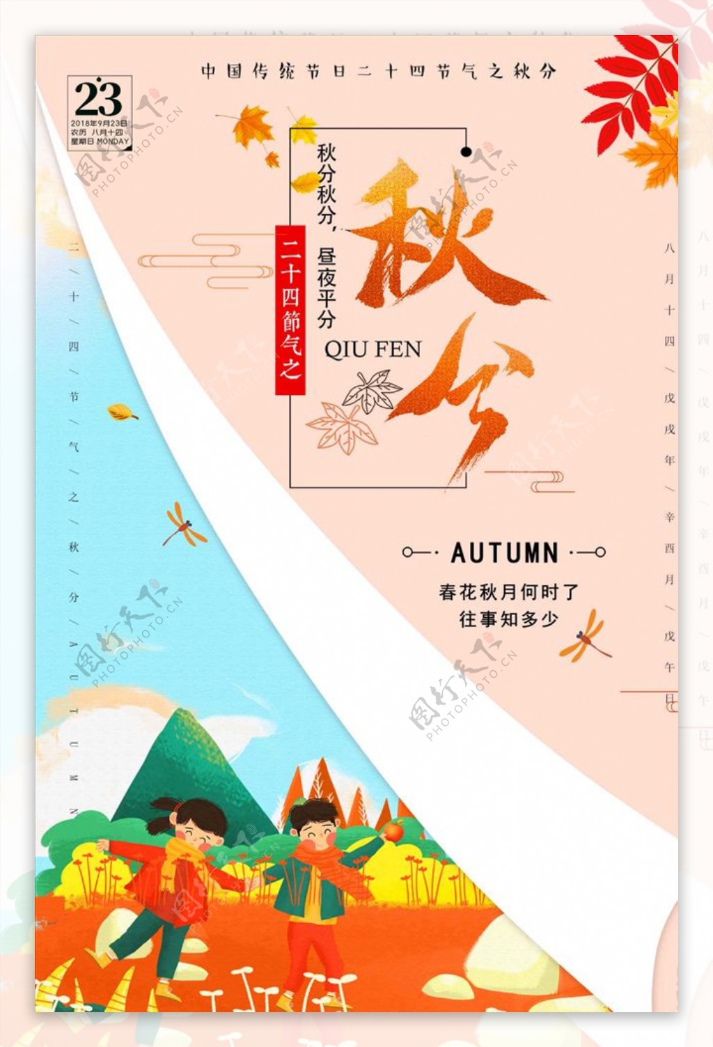 传统节气秋分淡雅简约海报设计