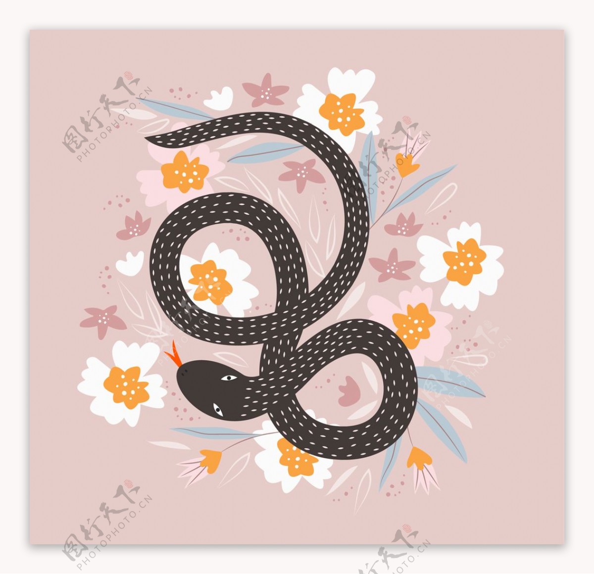 手绘鲜花和蛇插画设计
