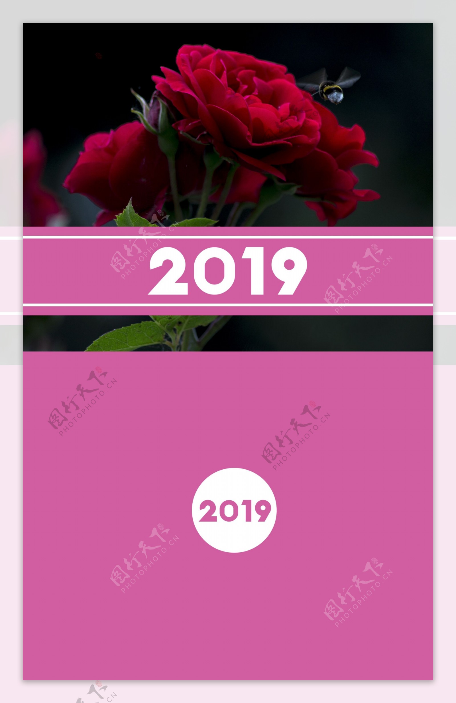 2019花卉摄影台历