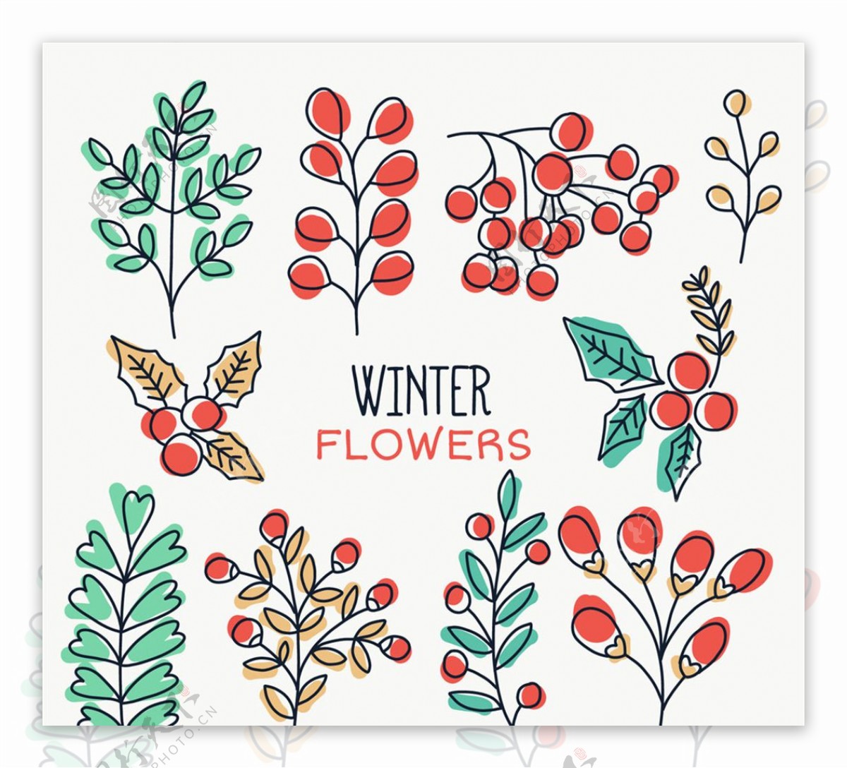 10款彩绘冬季植物