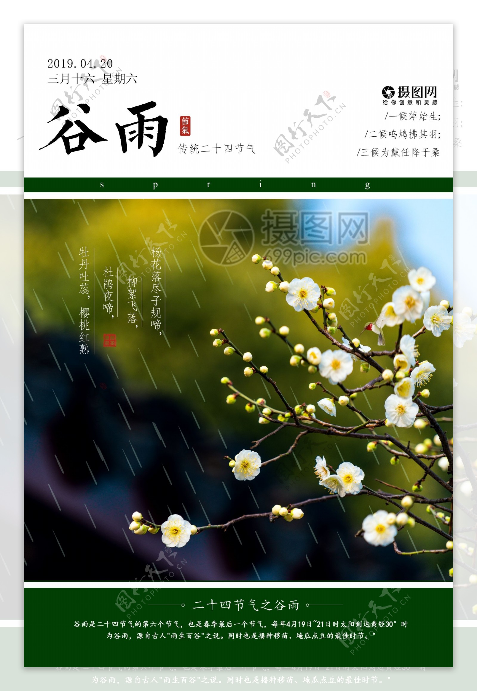 中国风古典传统24节气谷雨海报