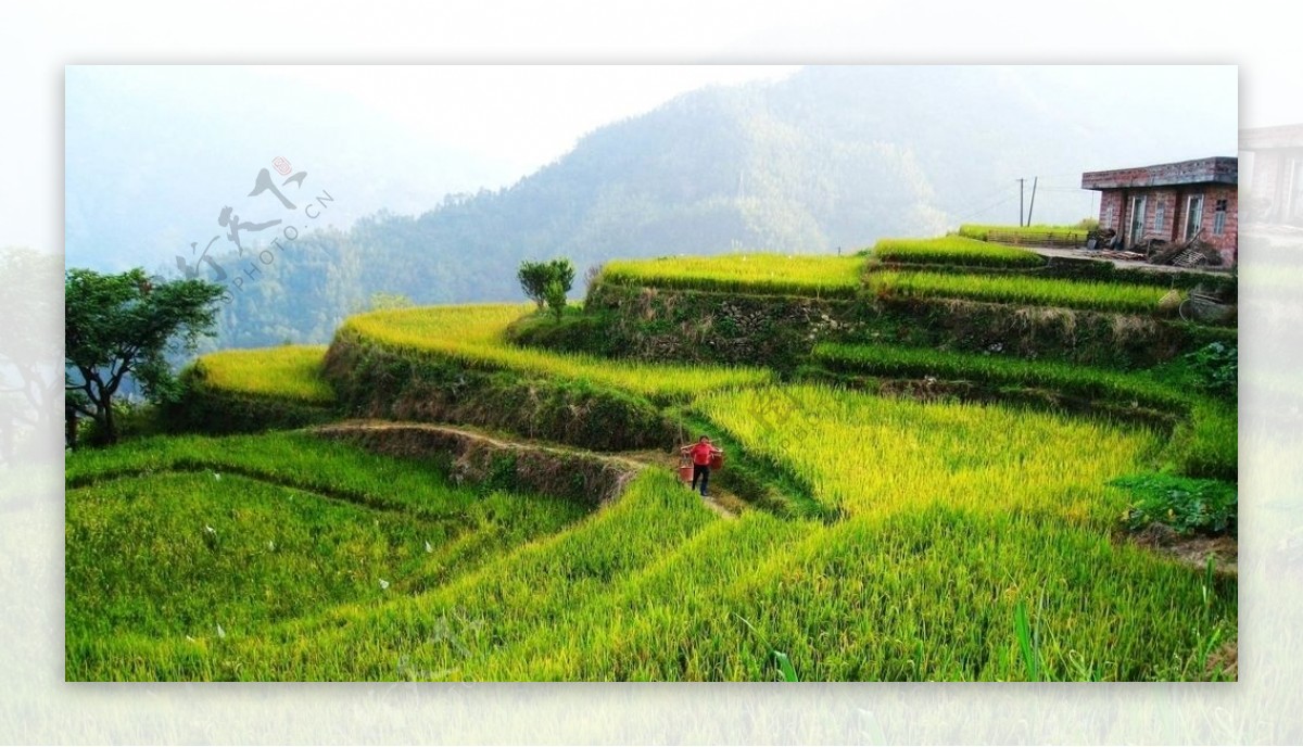 山乡风景