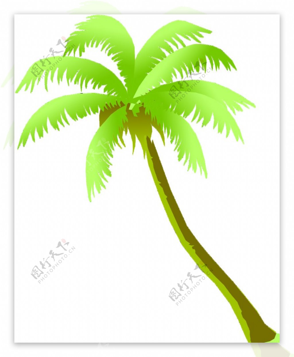 椰子树椰子插画