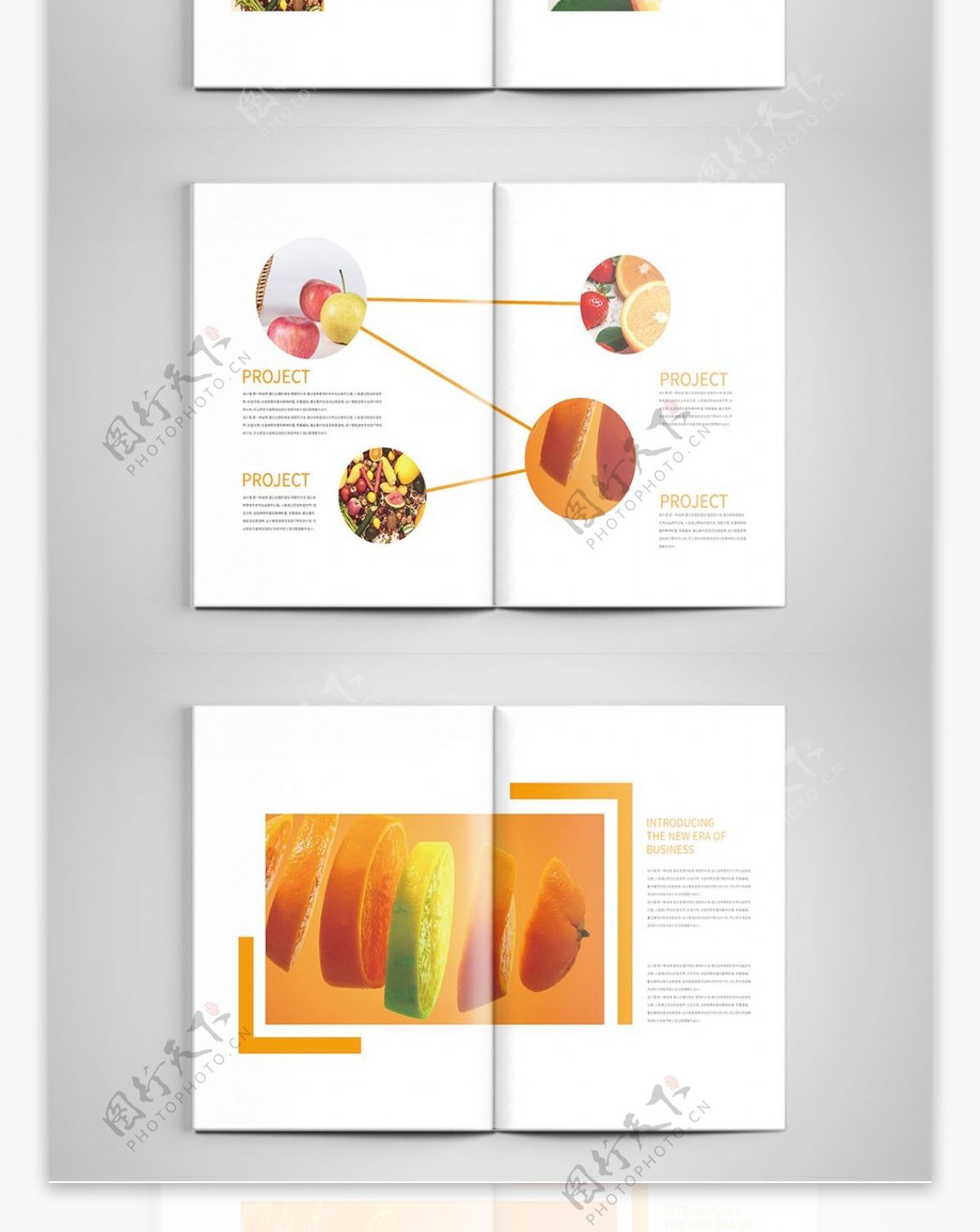 橙黄色水果画册设计