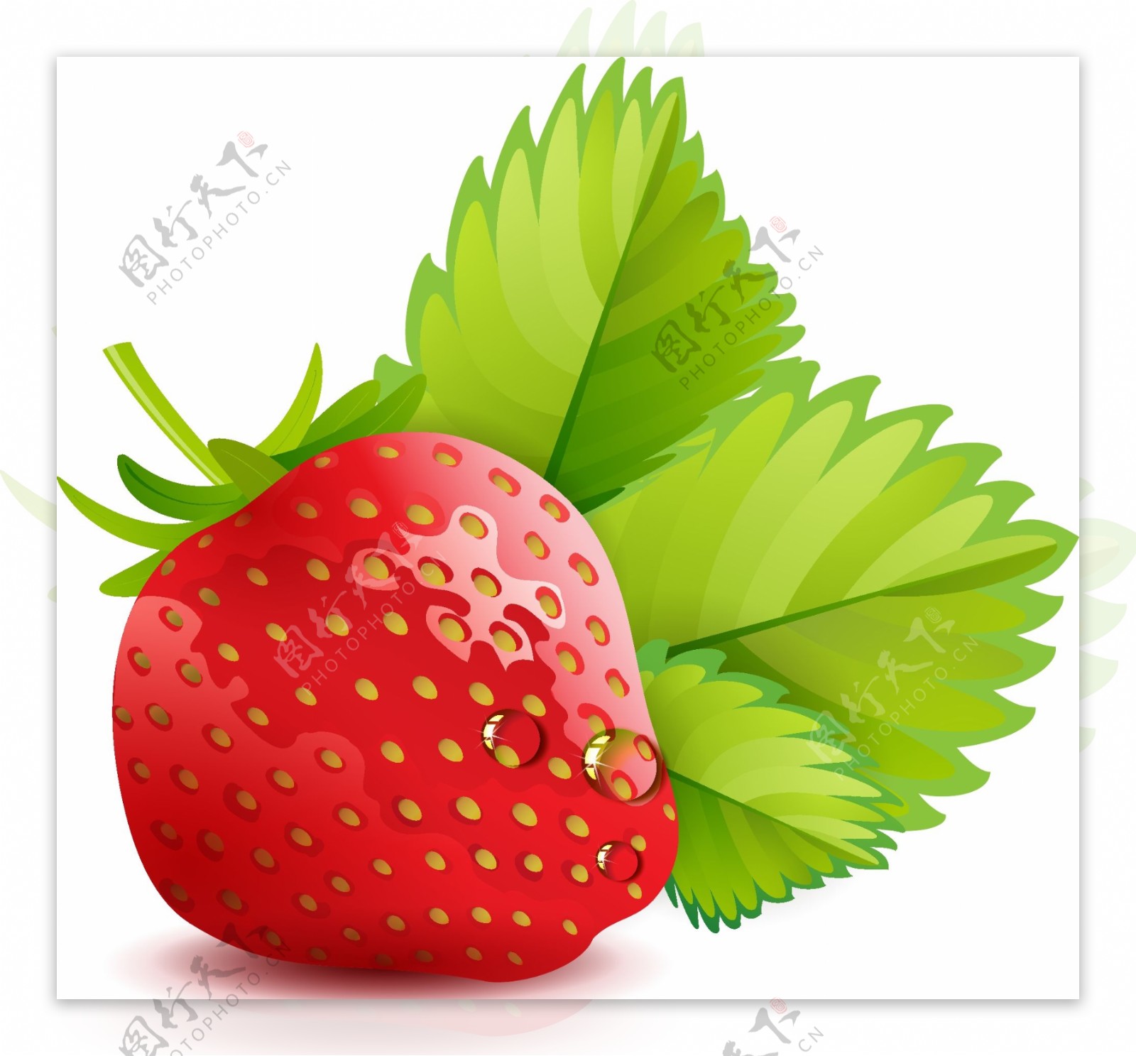 原创手绘一颗刚采摘的草莓