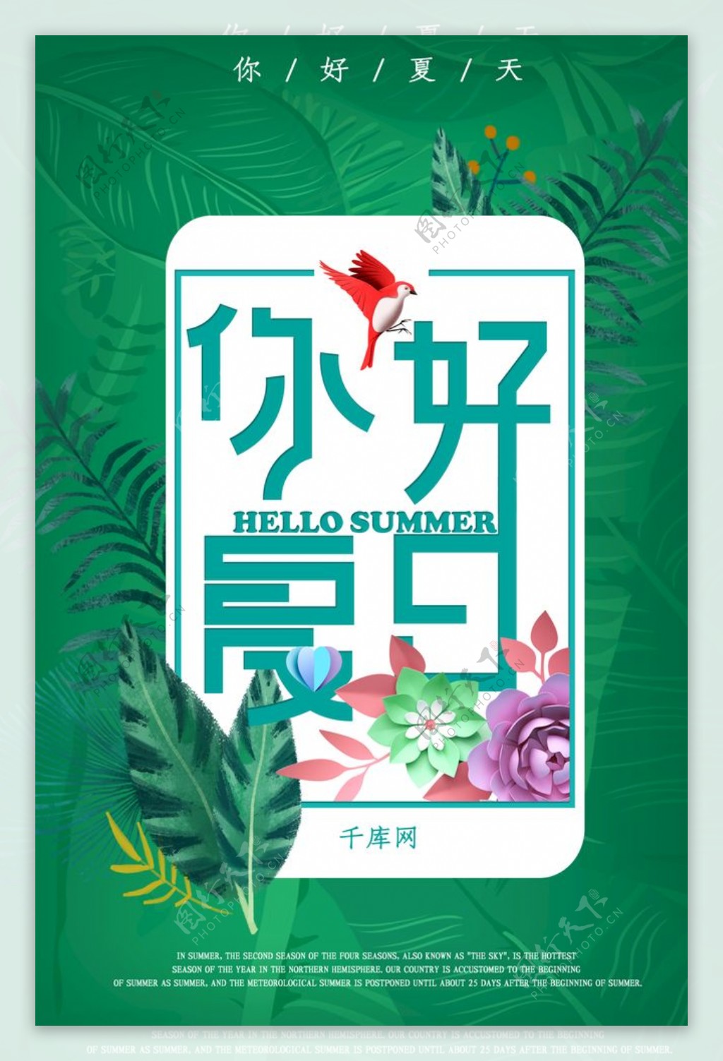 夏天你好