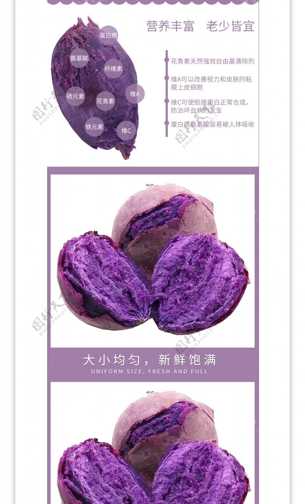 淘宝紫薯详情页模板
