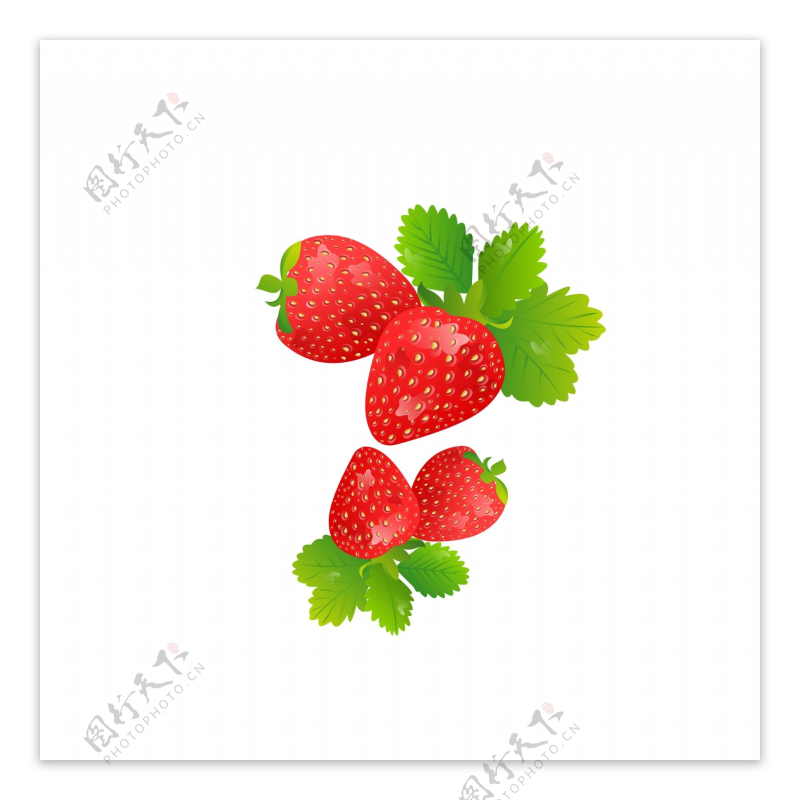 手绘草莓装饰元素