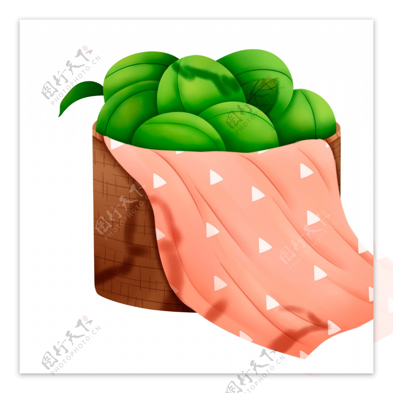 篮子里的西瓜插画