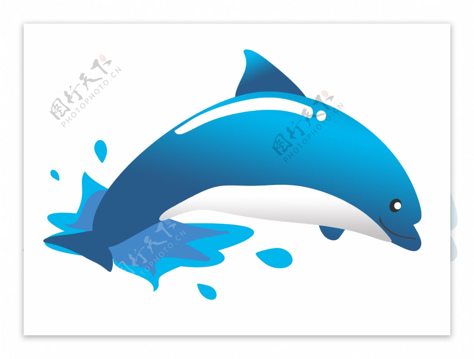 蓝色海水海豚