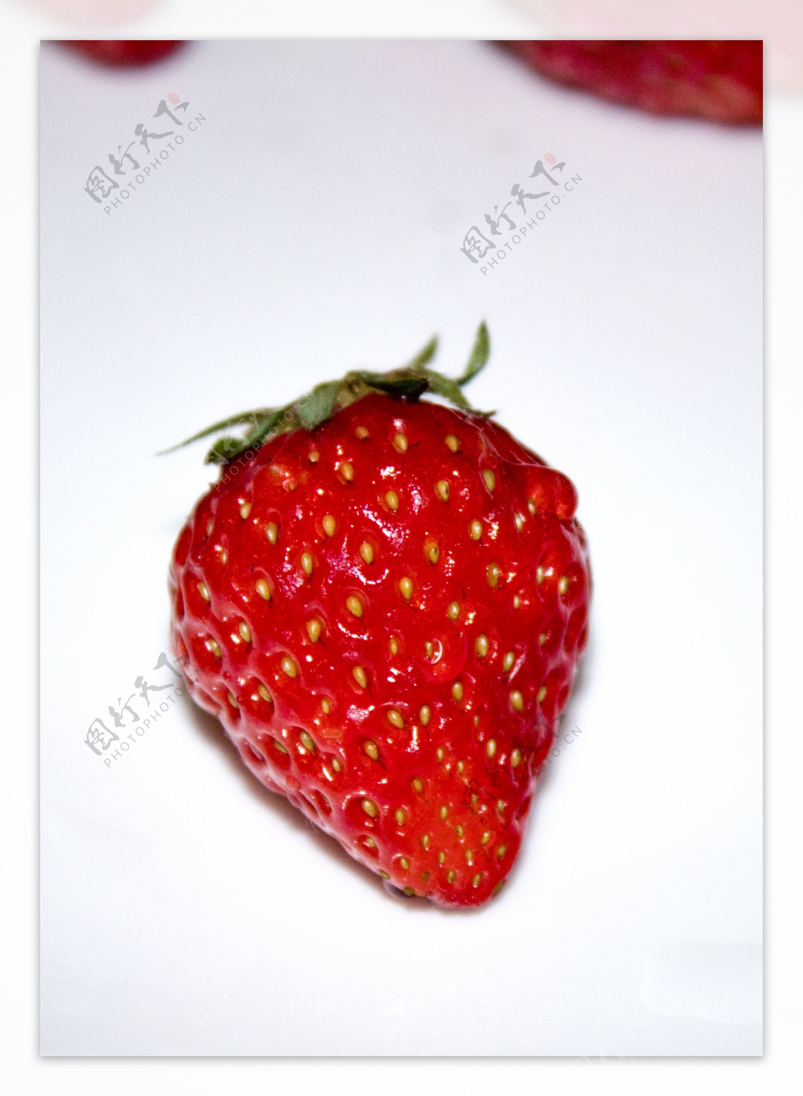 鲜嫩的草莓商用摄影