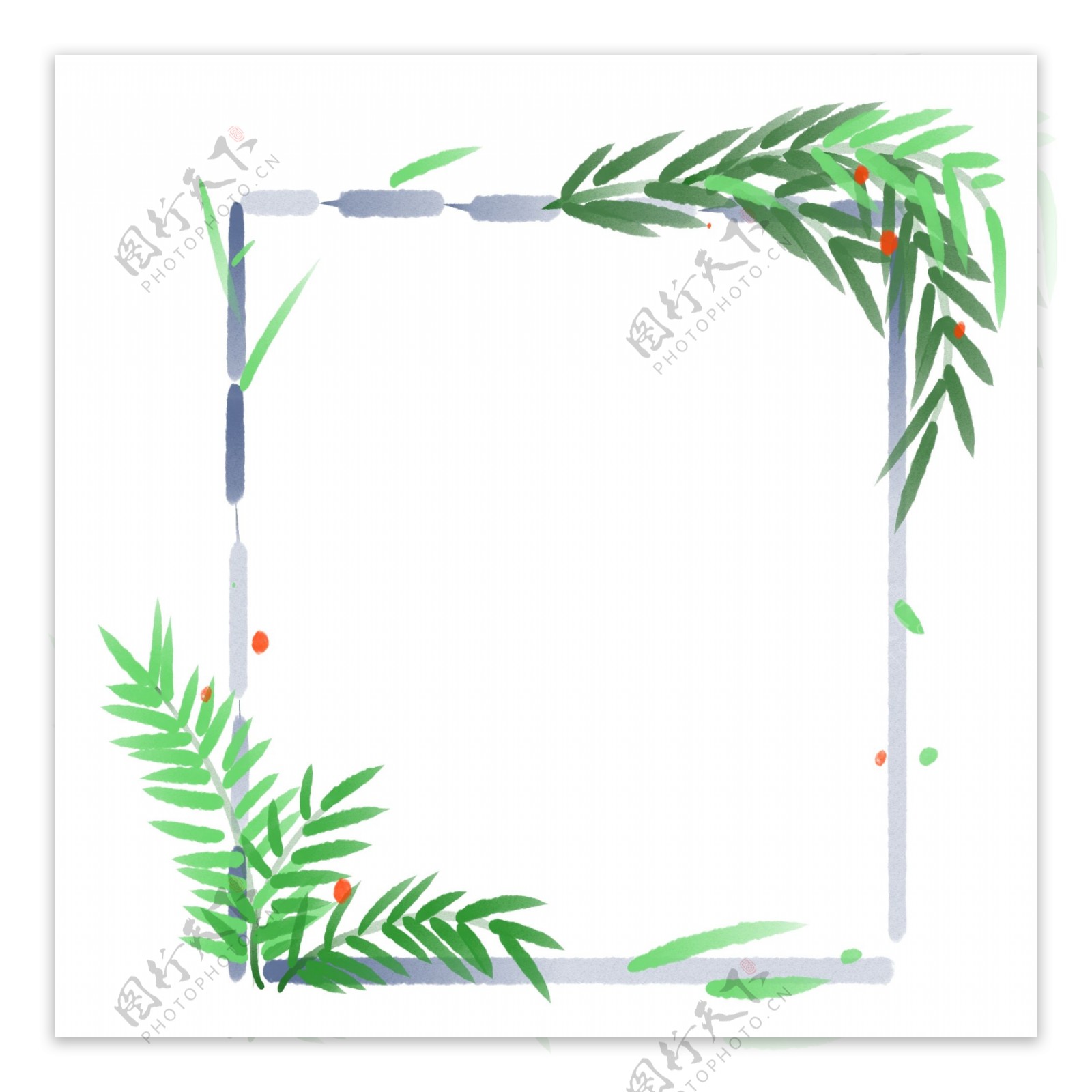 绿色的植物文竹边框