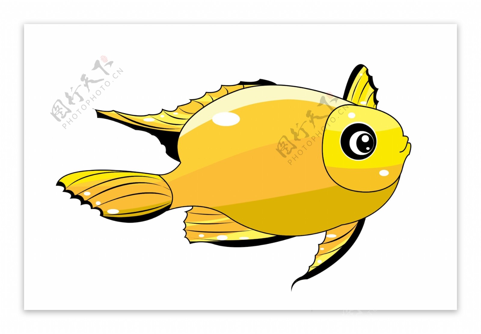 黄色观赏鱼类