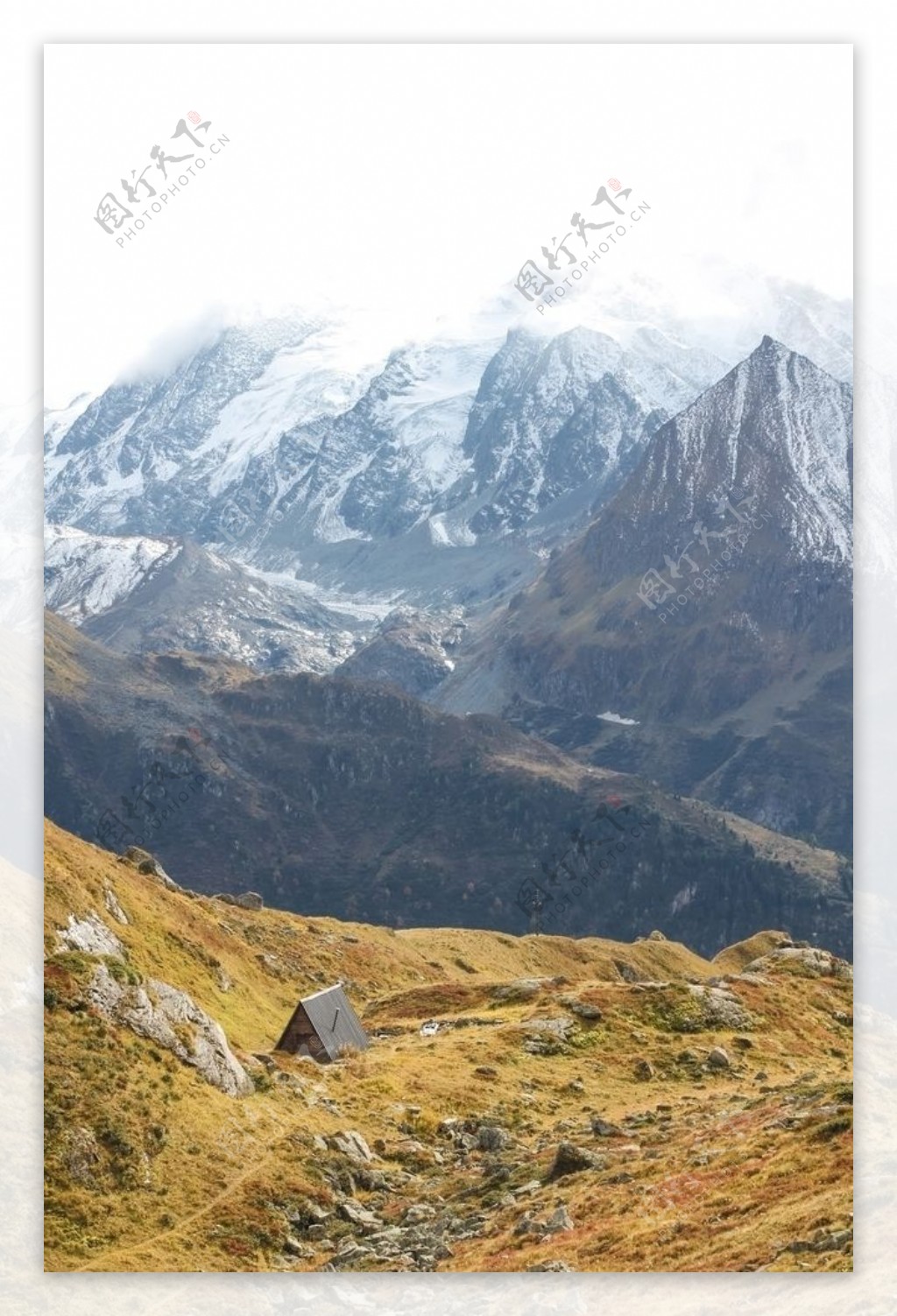 草地雪山